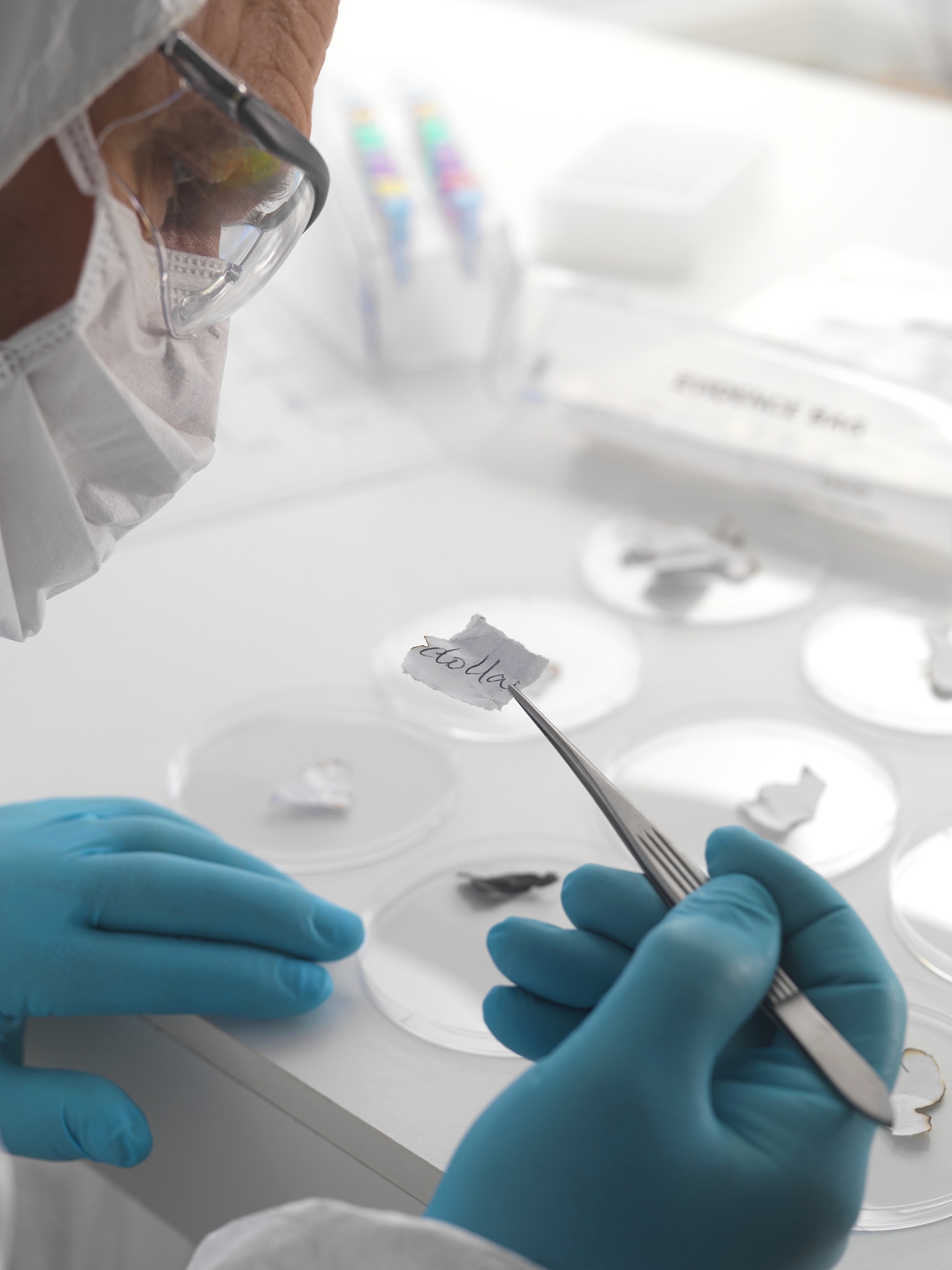 forensic science