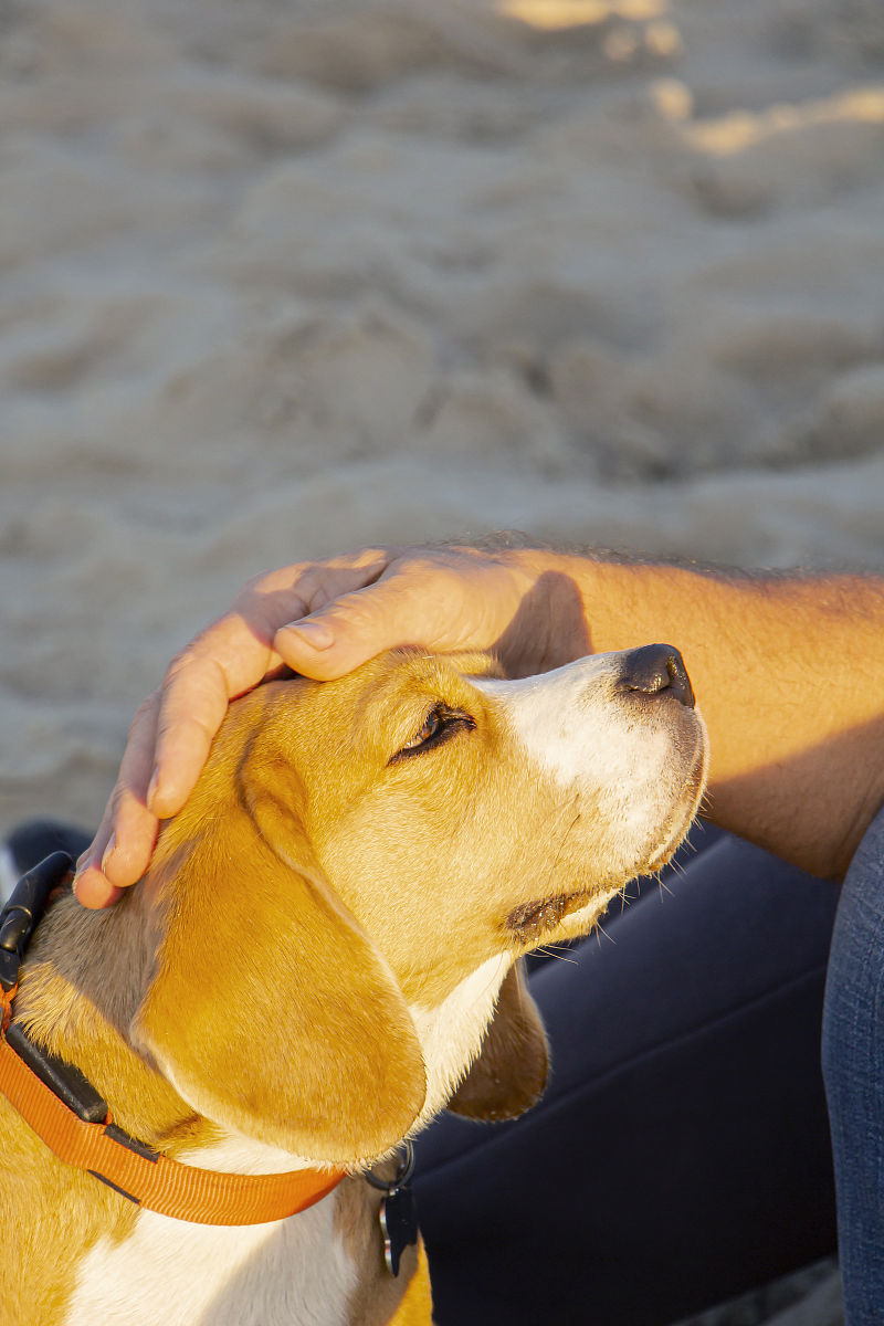 人如果一定会死要活着