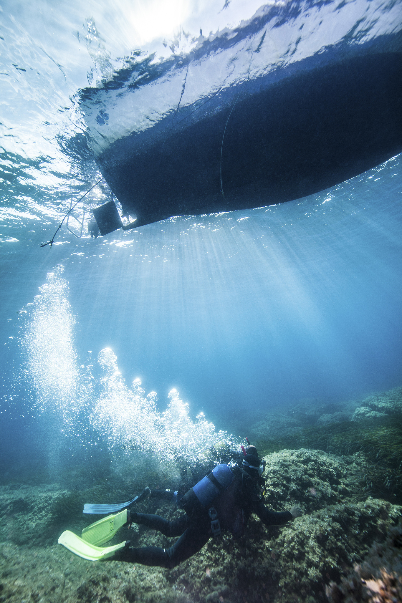 scuba diver exploring sea life, adriatic sea, dalmatia, croatia