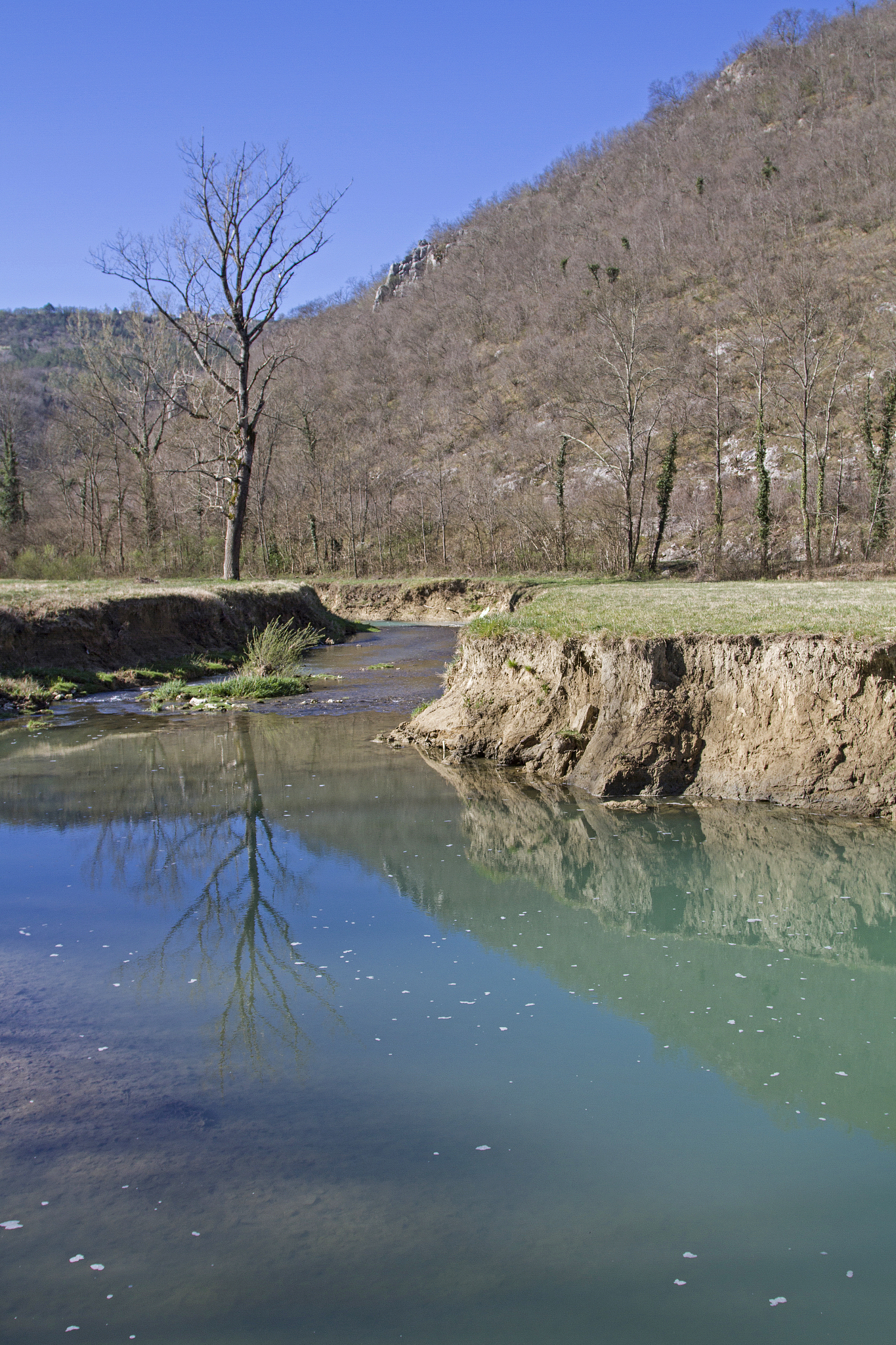 找出近五年来肿瘤相关巨噬细胞调节外泌体的相关文献