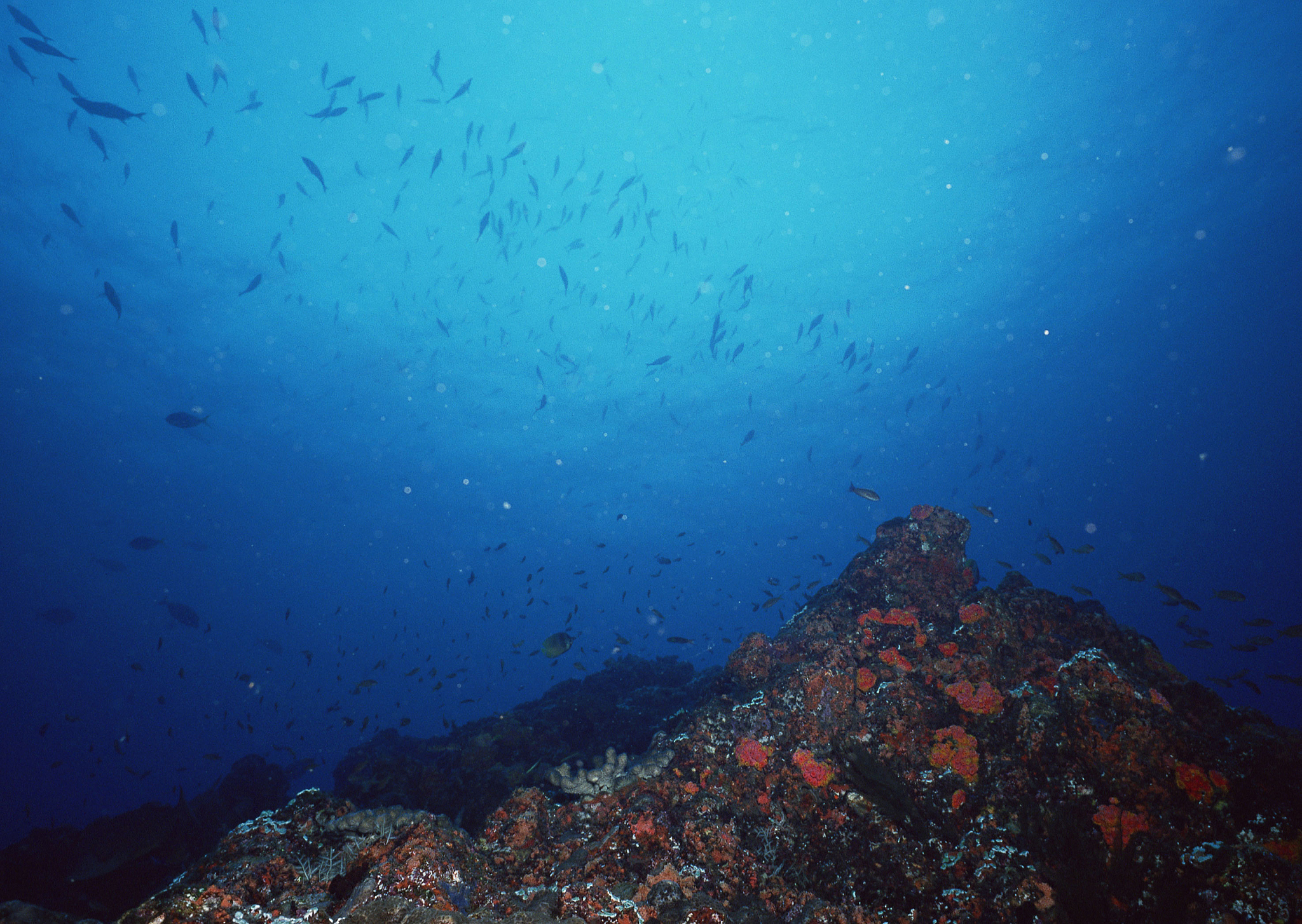 underwater