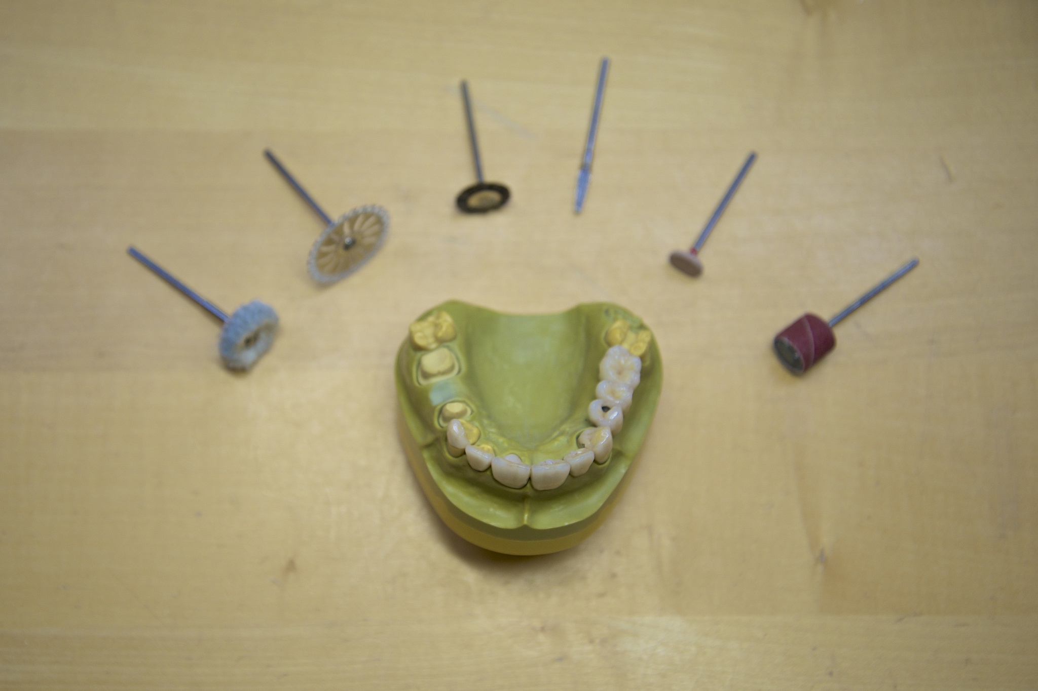 沈阳农业大学应用化学专业怎么样