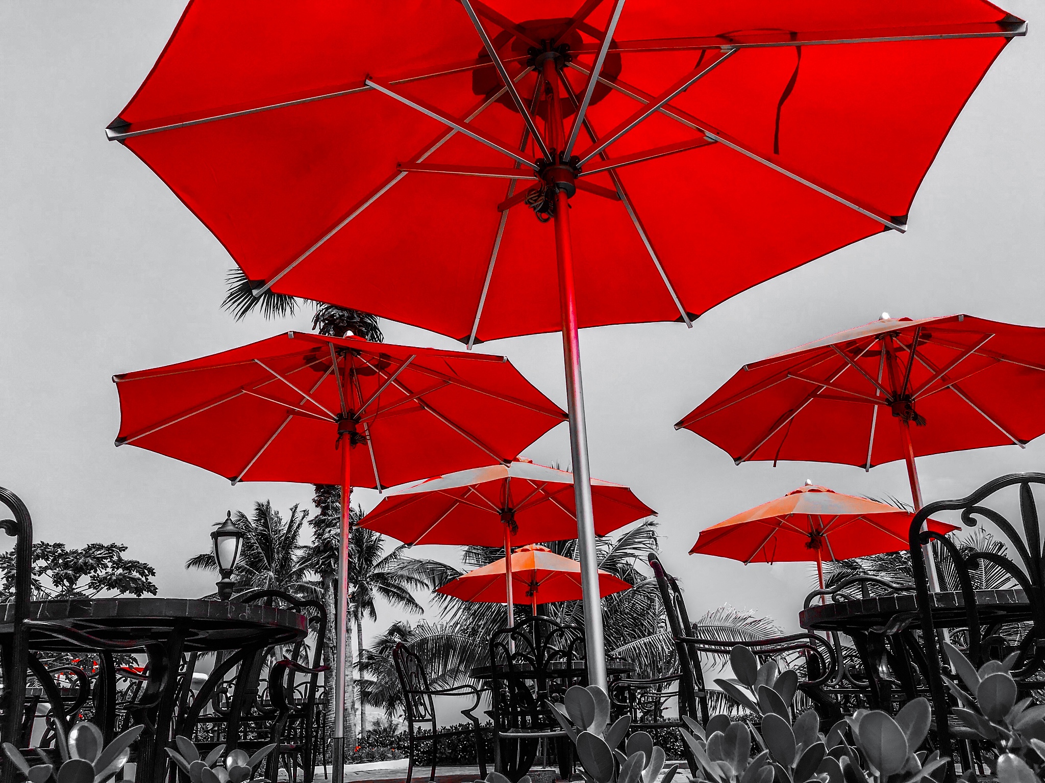 red beach umbrellas