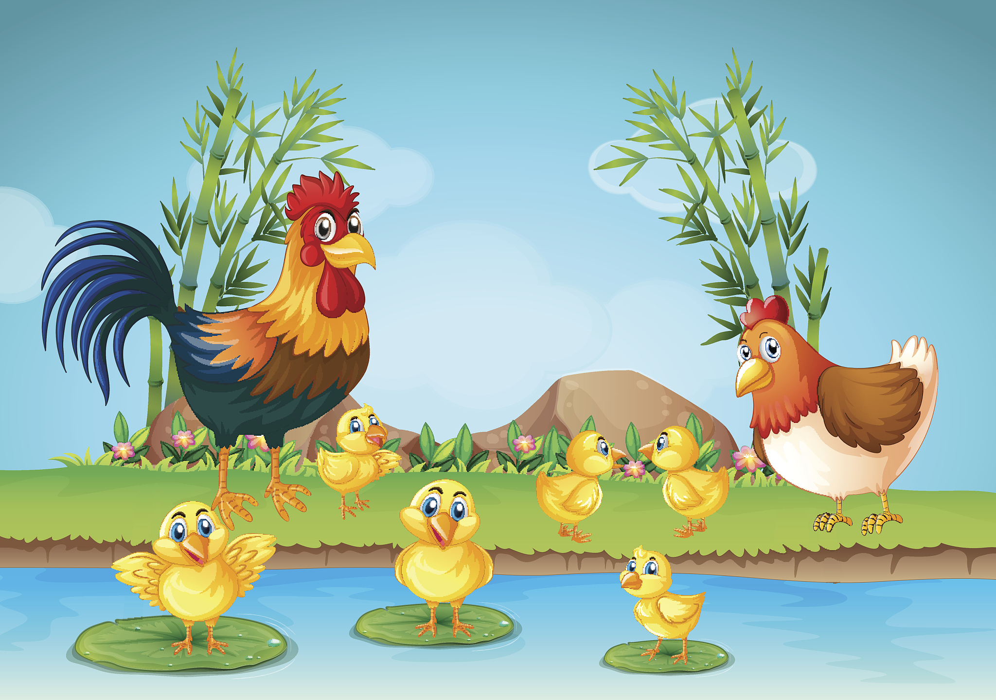 小公鸡跟在小鸭子后面也下了水扩句