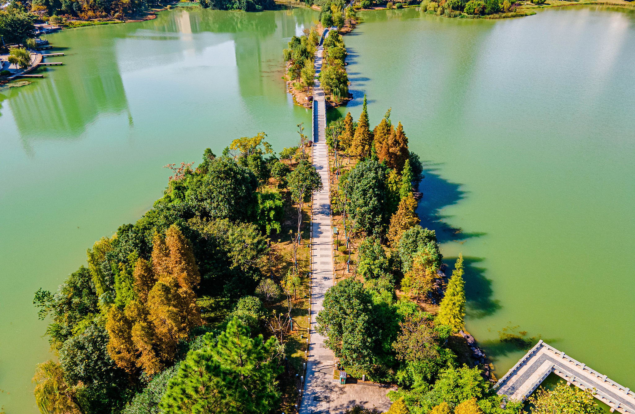 商洛莲湖公园：风景如画，休闲娱乐的理想去处