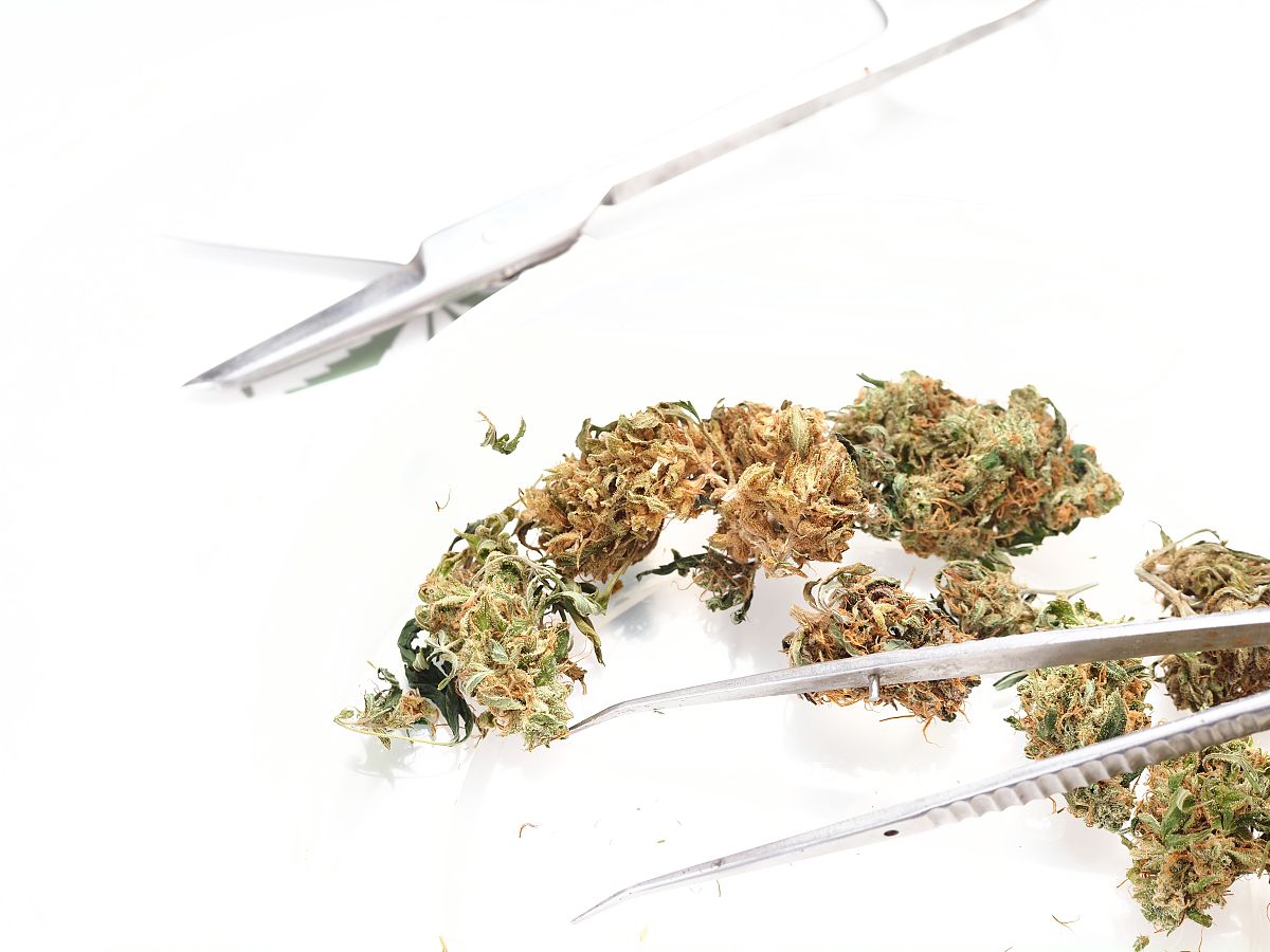 True hemp raw or retted的翻译