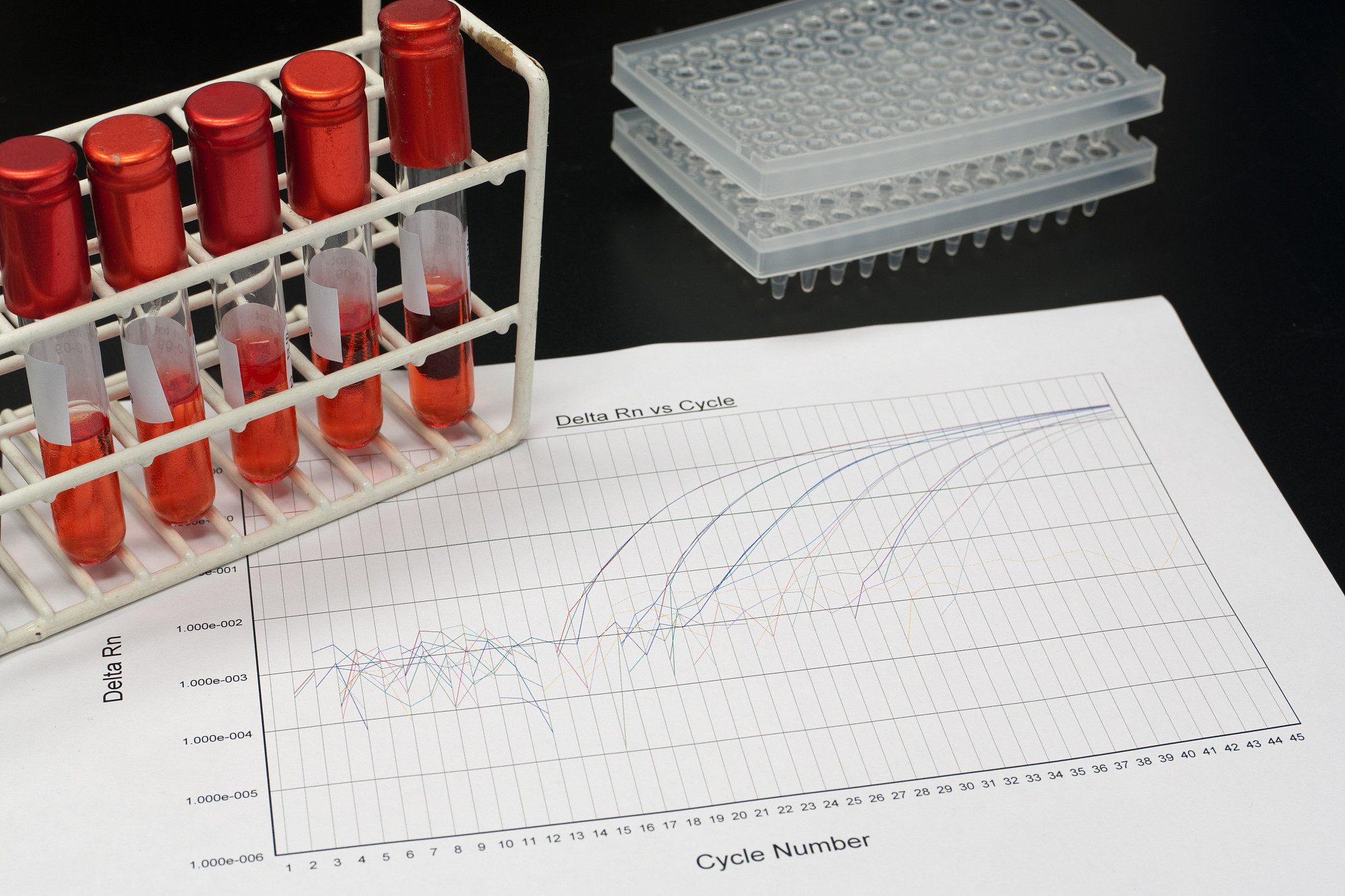 实时定量PCR和Western Blot：检测转染效果的常用方法