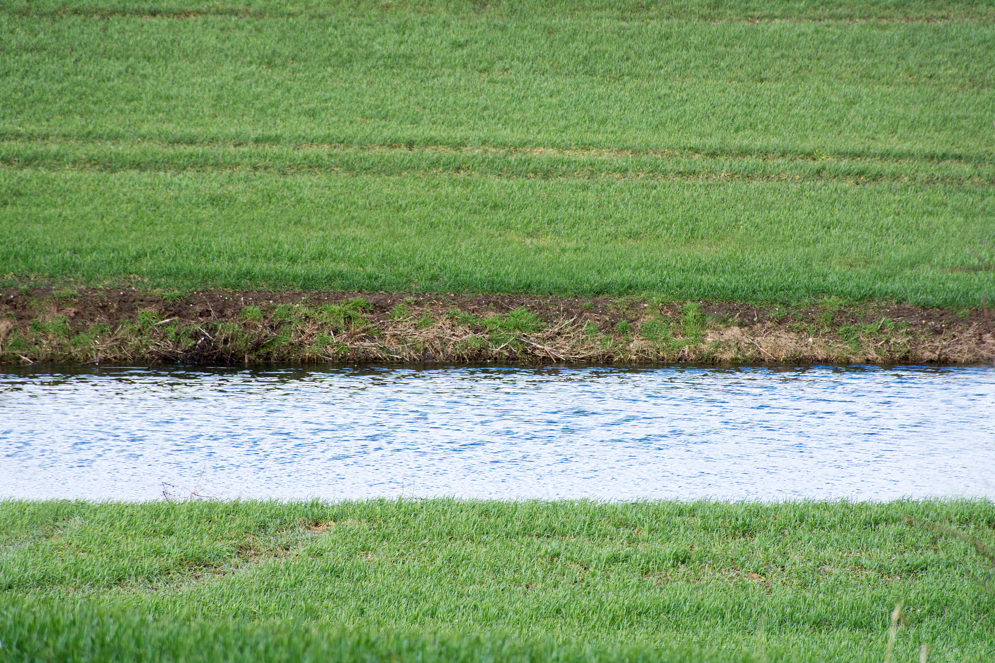 运河环保标语：保护水资源，共建绿色家园