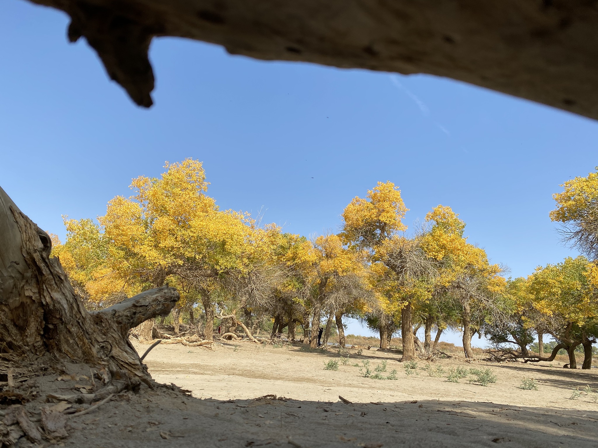 怀念守望先锋1？解读情怀与期待！