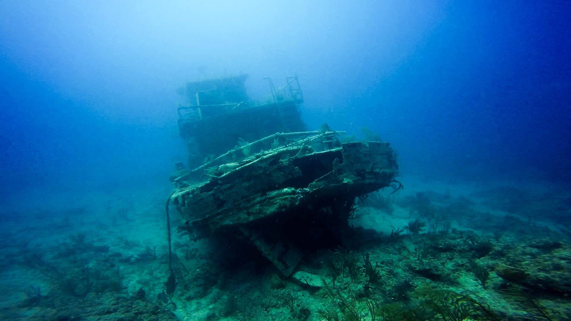shipwreck in water
