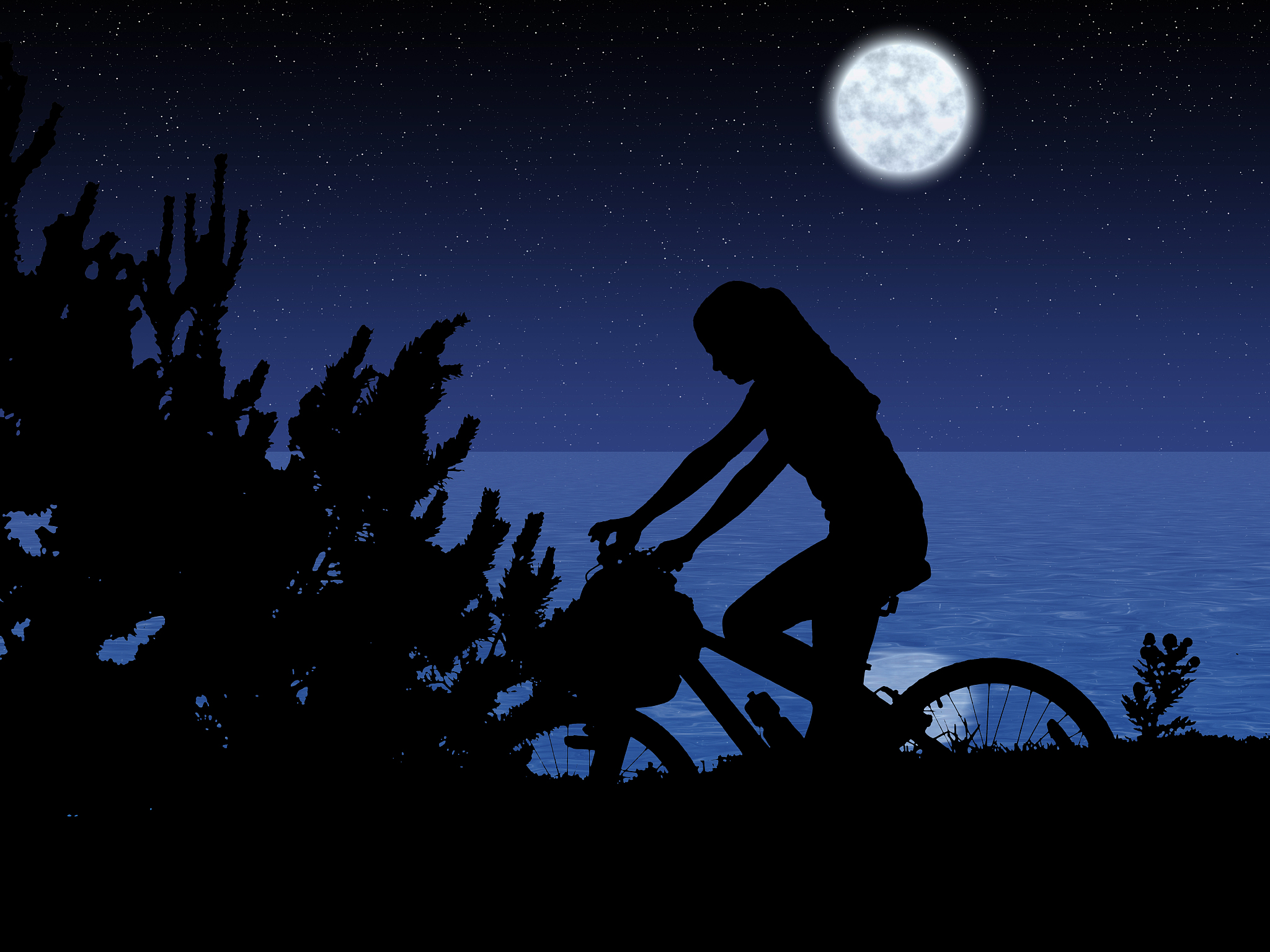 bicycle night rider