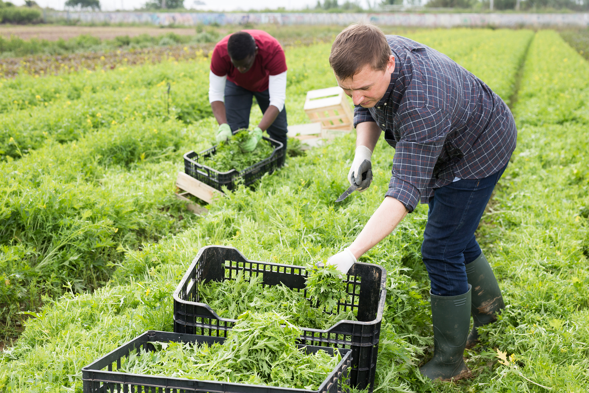 成都市农业科技职业学院学制怎么样？