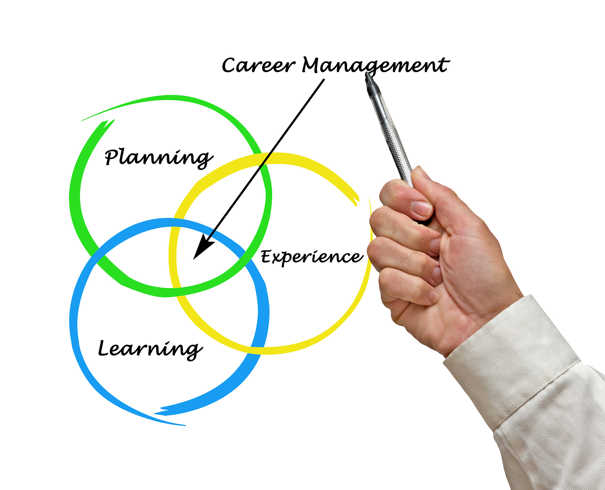 diagram of career management