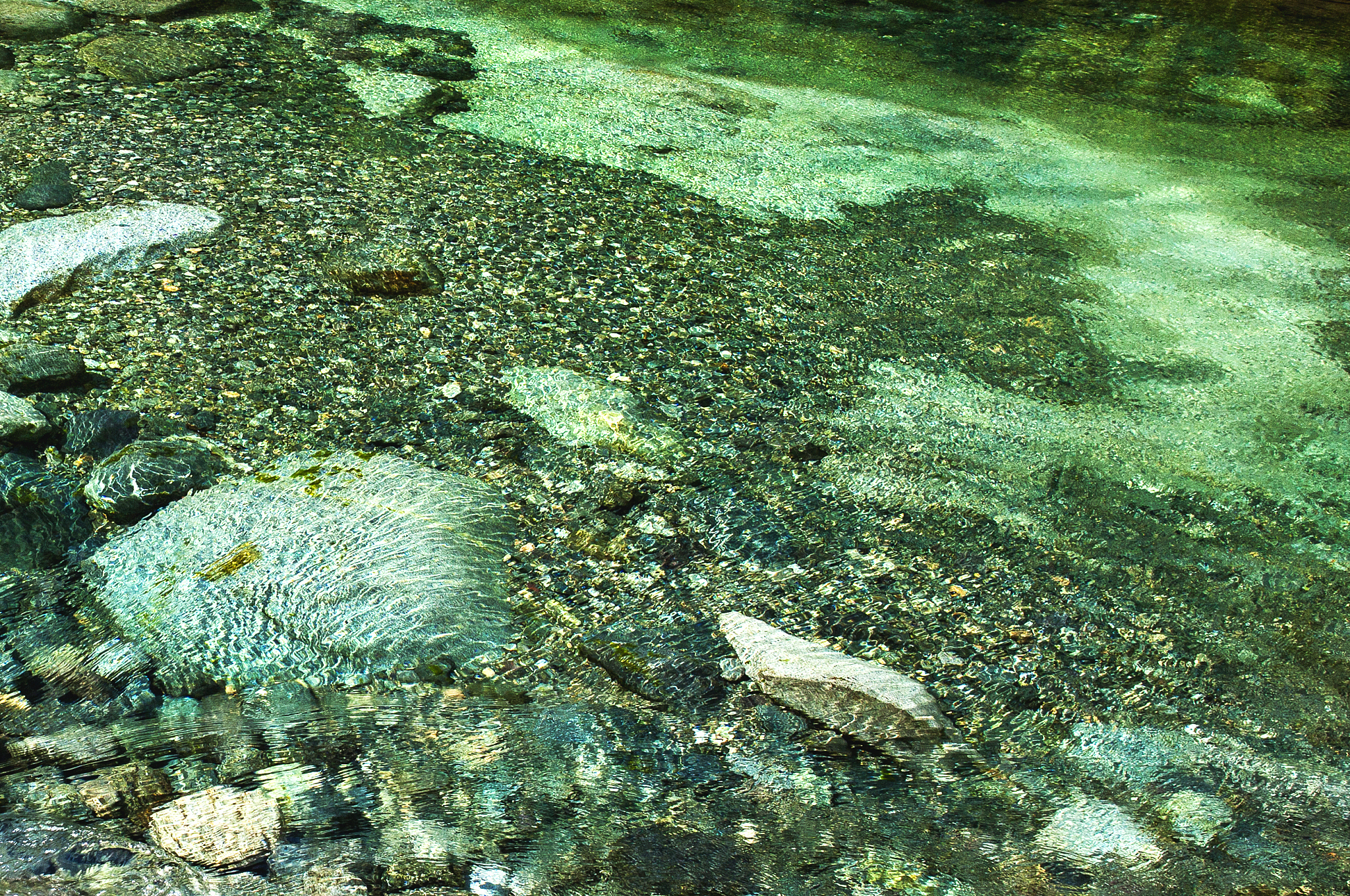 还原态绿脱石活化氧化降解污染物：原位修复新思路