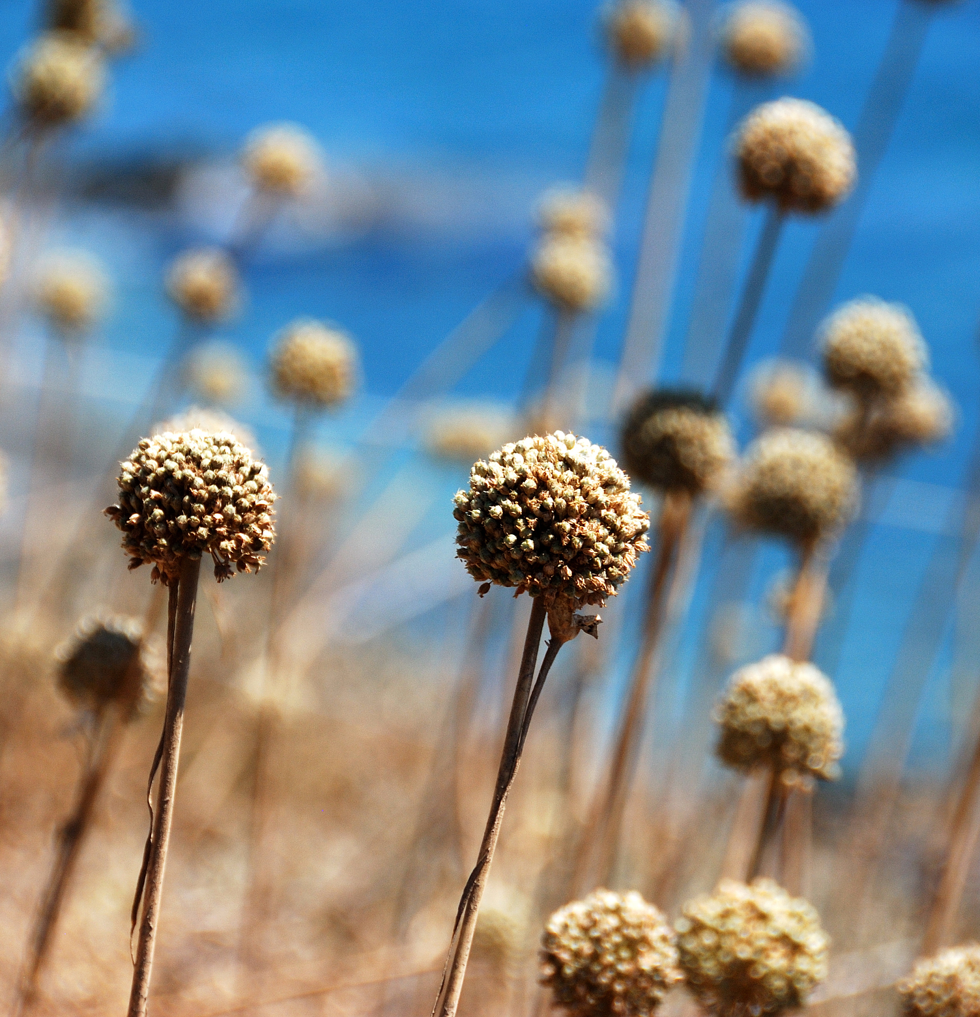 乳腺癌转移的影响因素：全面解析转移机制和预防策略