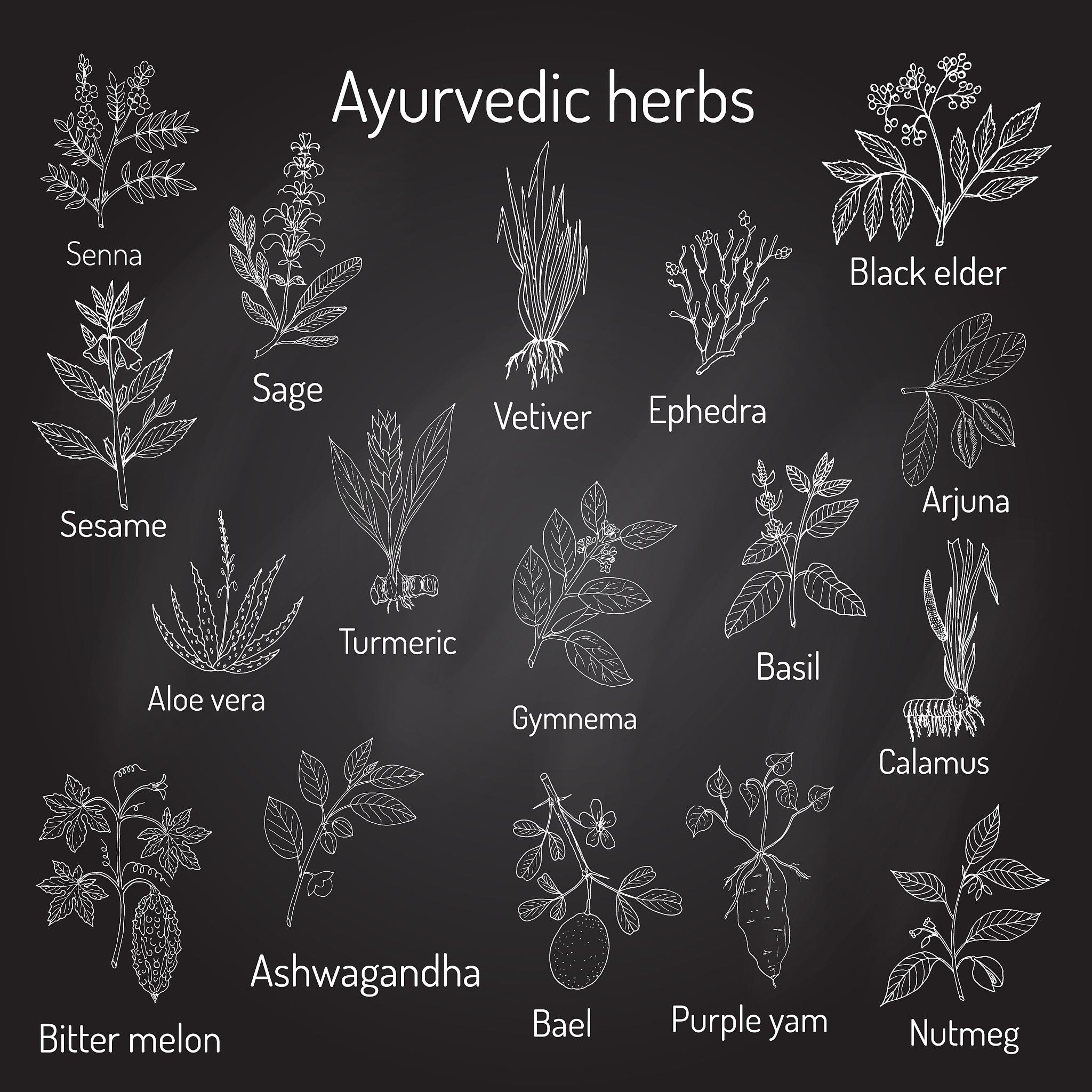 Denosumab: The Superior Choice for Bone Density Improvement in Osteoporosis