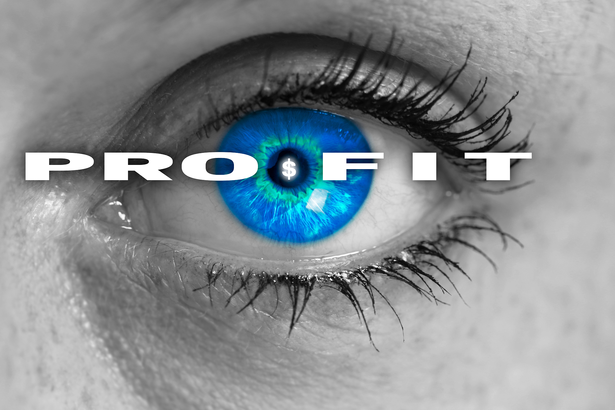 profit eye looks at viewer concept macro