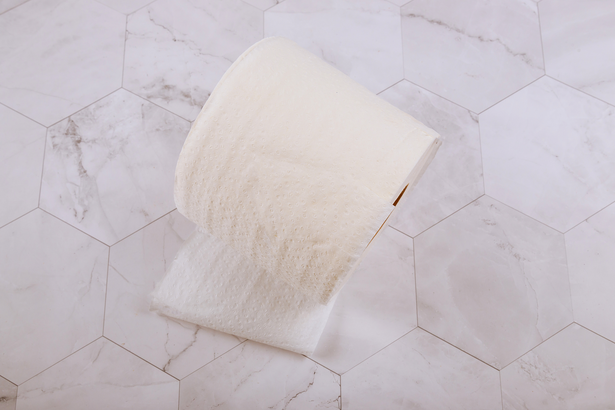 toilet paper roll on white tiles in bathroom