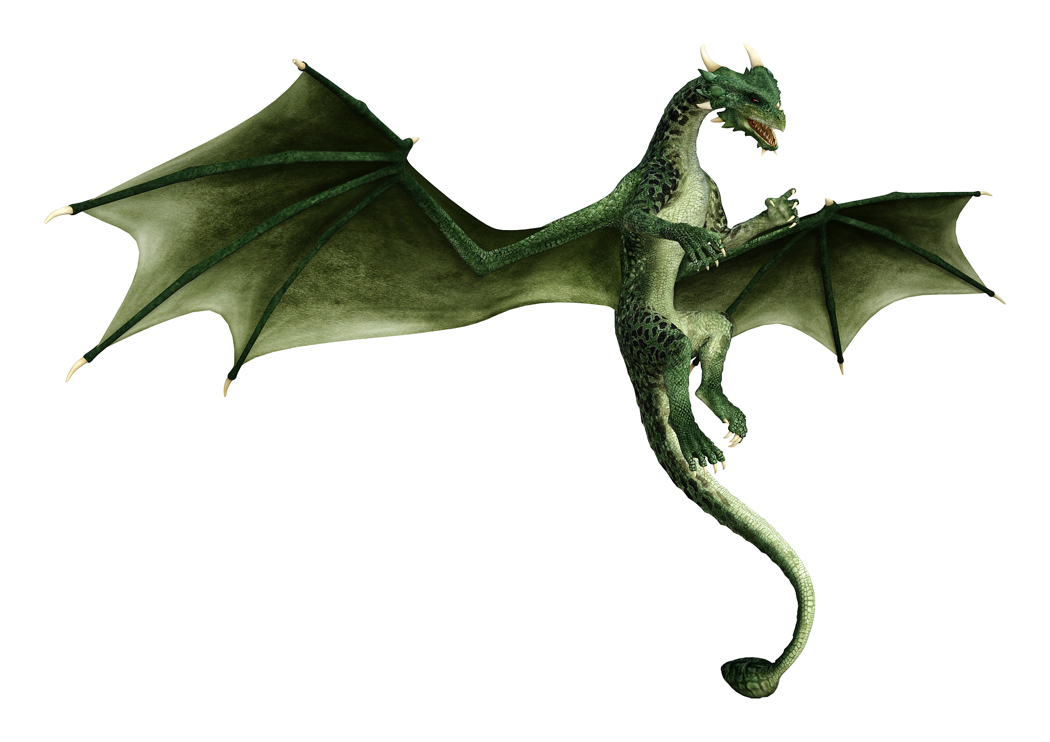 3d illustration fantasy dragon on white