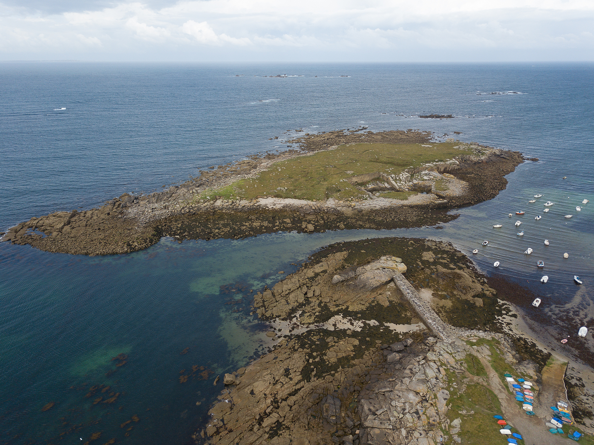 太浩湖有鳄鱼吗？