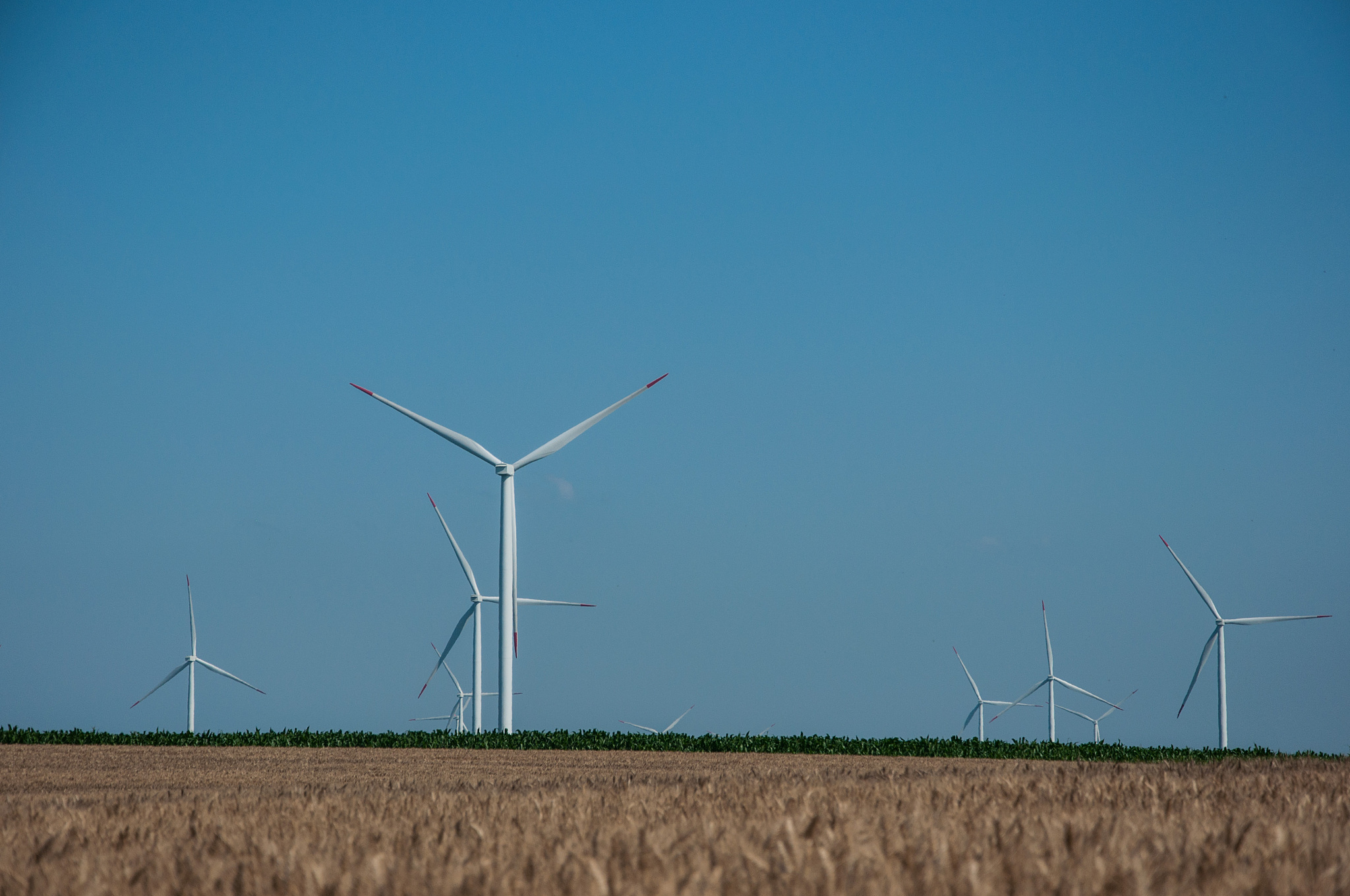 为解决世界粮食危机要通过提高单产来解决增产所占比例为