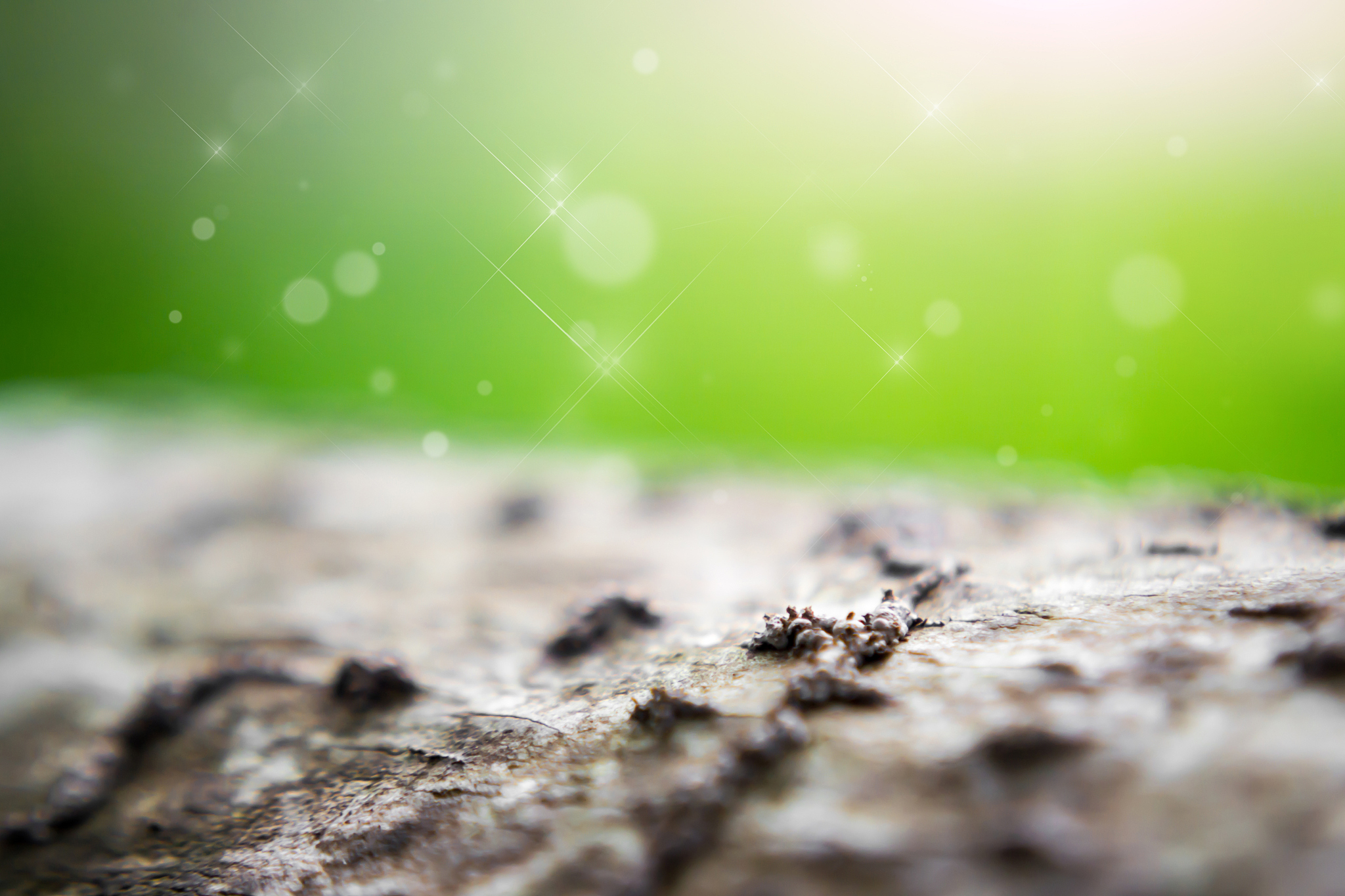 一只小虫努力地顺着陡立的墙壁往上爬写篇作文