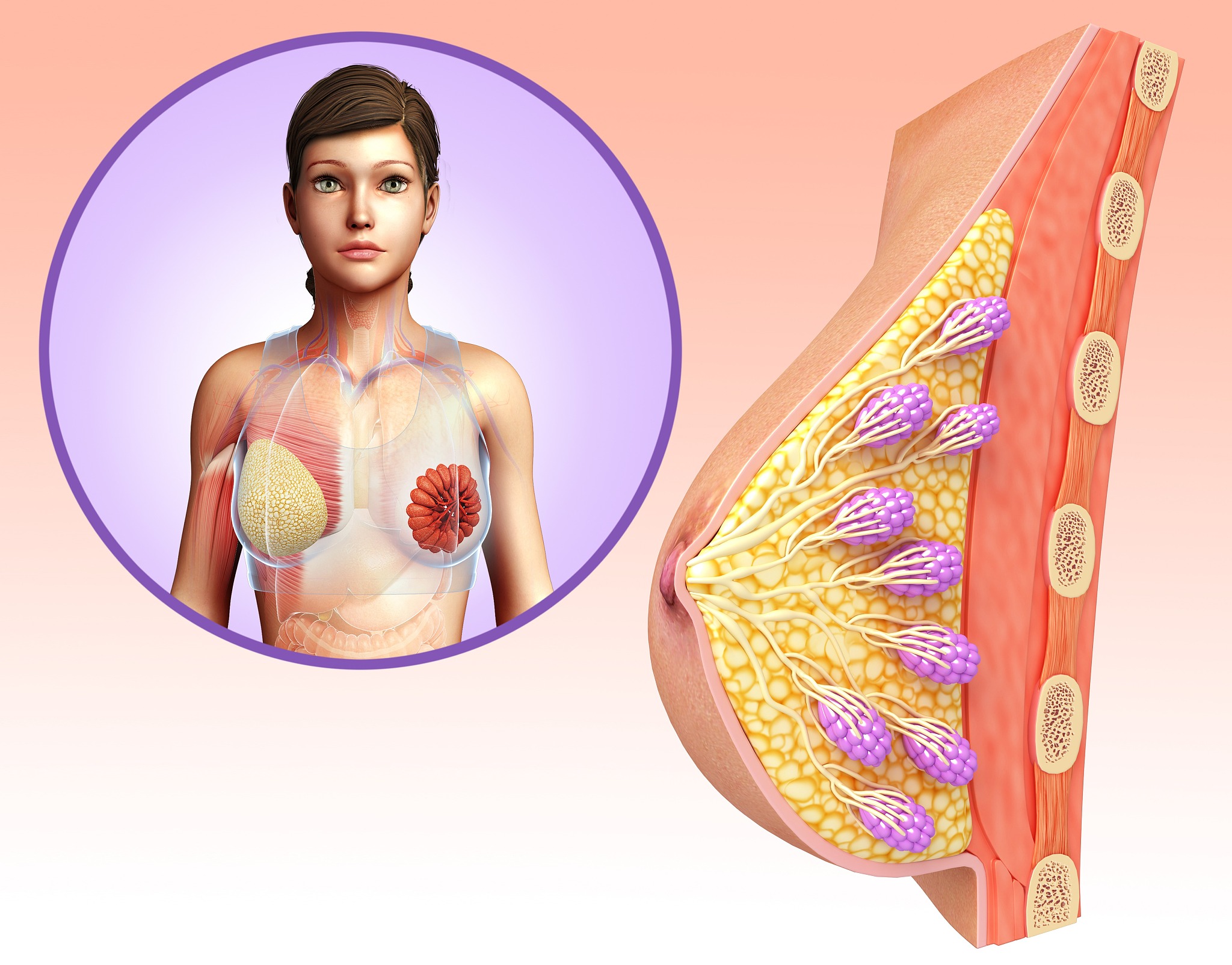 产后乳房的护理 怎样避免乳房凹陷下垂