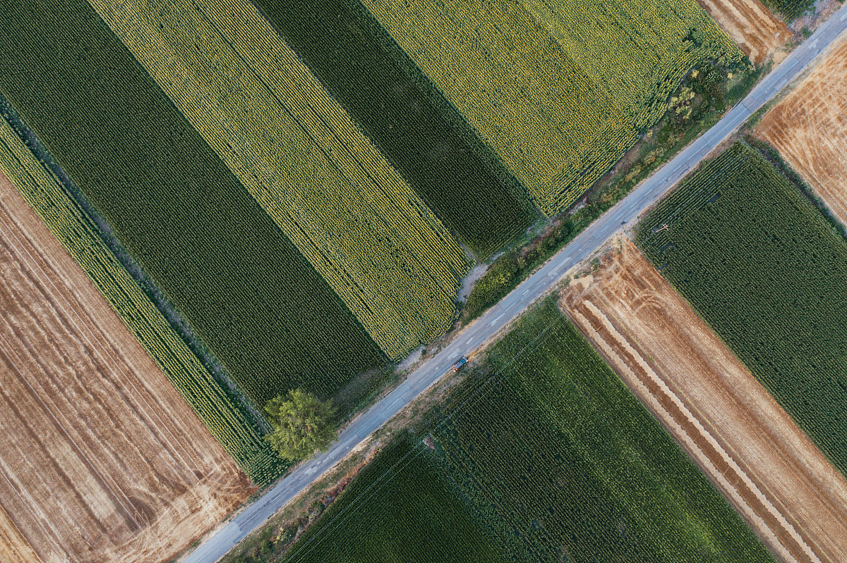 帮我撰写一篇关于无人机遥感技术与应用的研究报告内容包括发展历史、研究现状、未来的发展趋势等内容字数要求四千字以上。