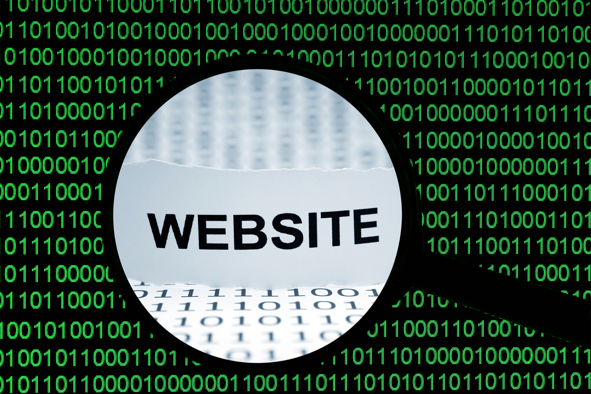 search for website