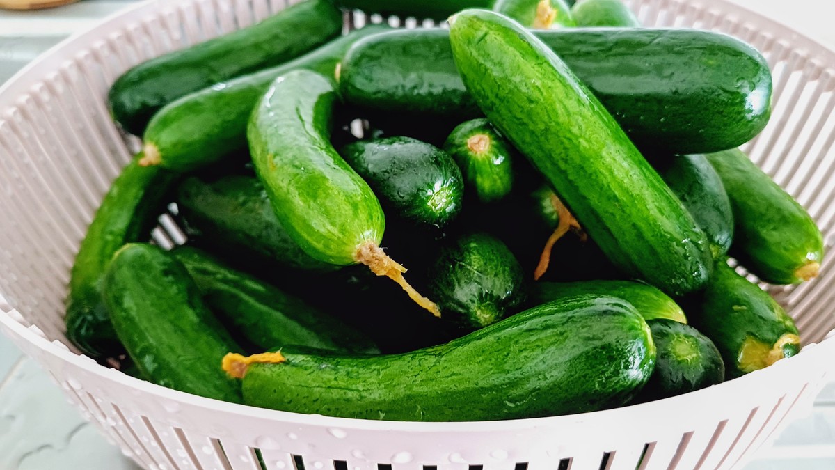 黄瓜保鲜妙招：如何防止刺变白？