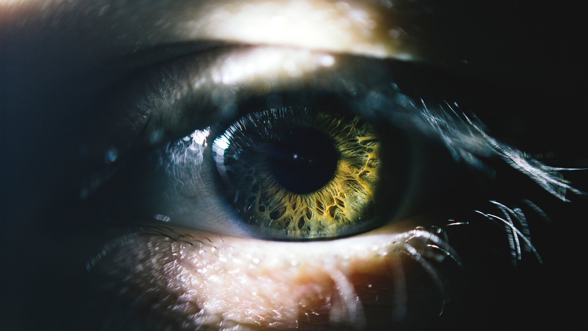 detail shot of human eye with lashes