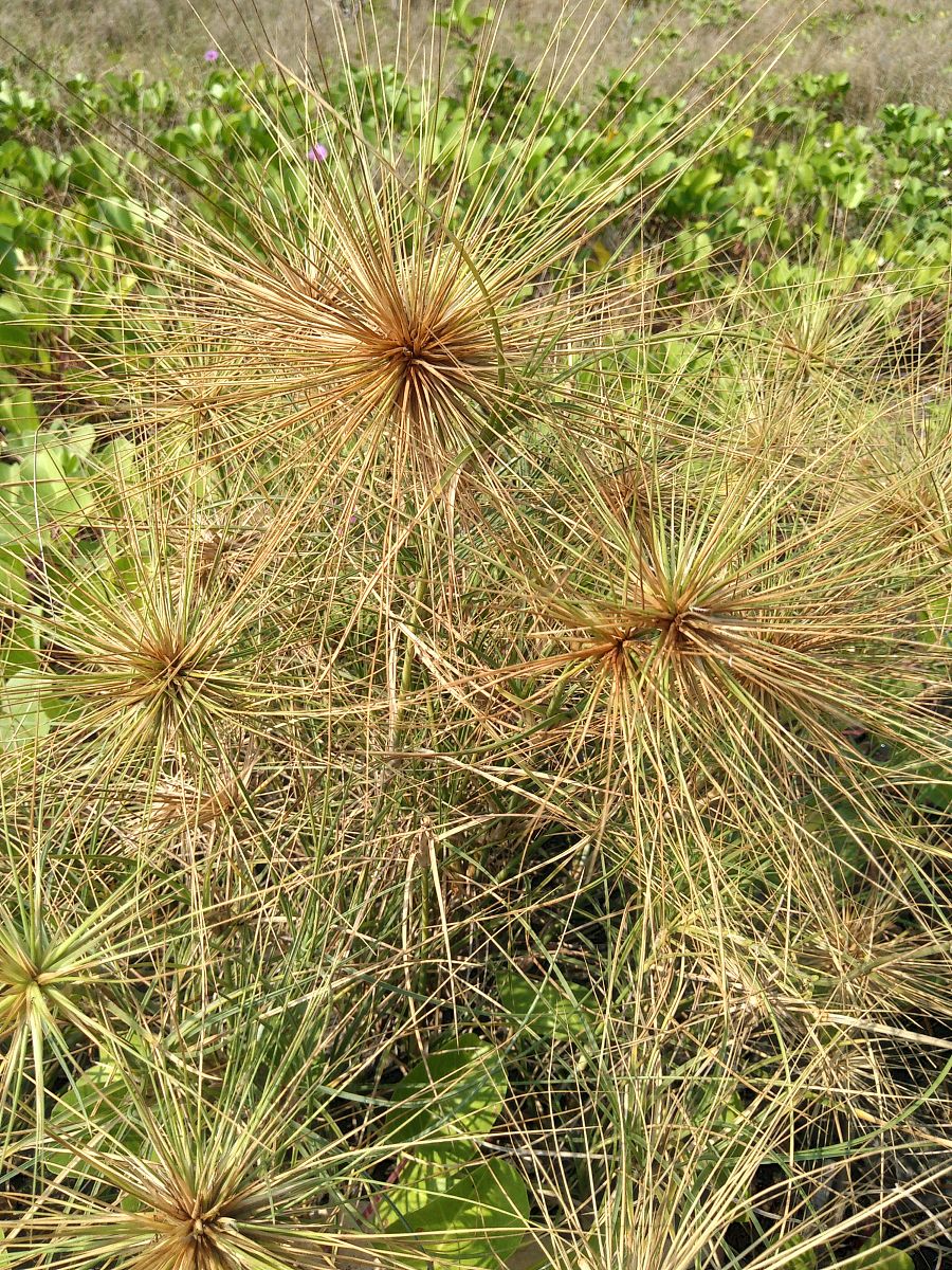 写5条关于旅游的治愈系文案