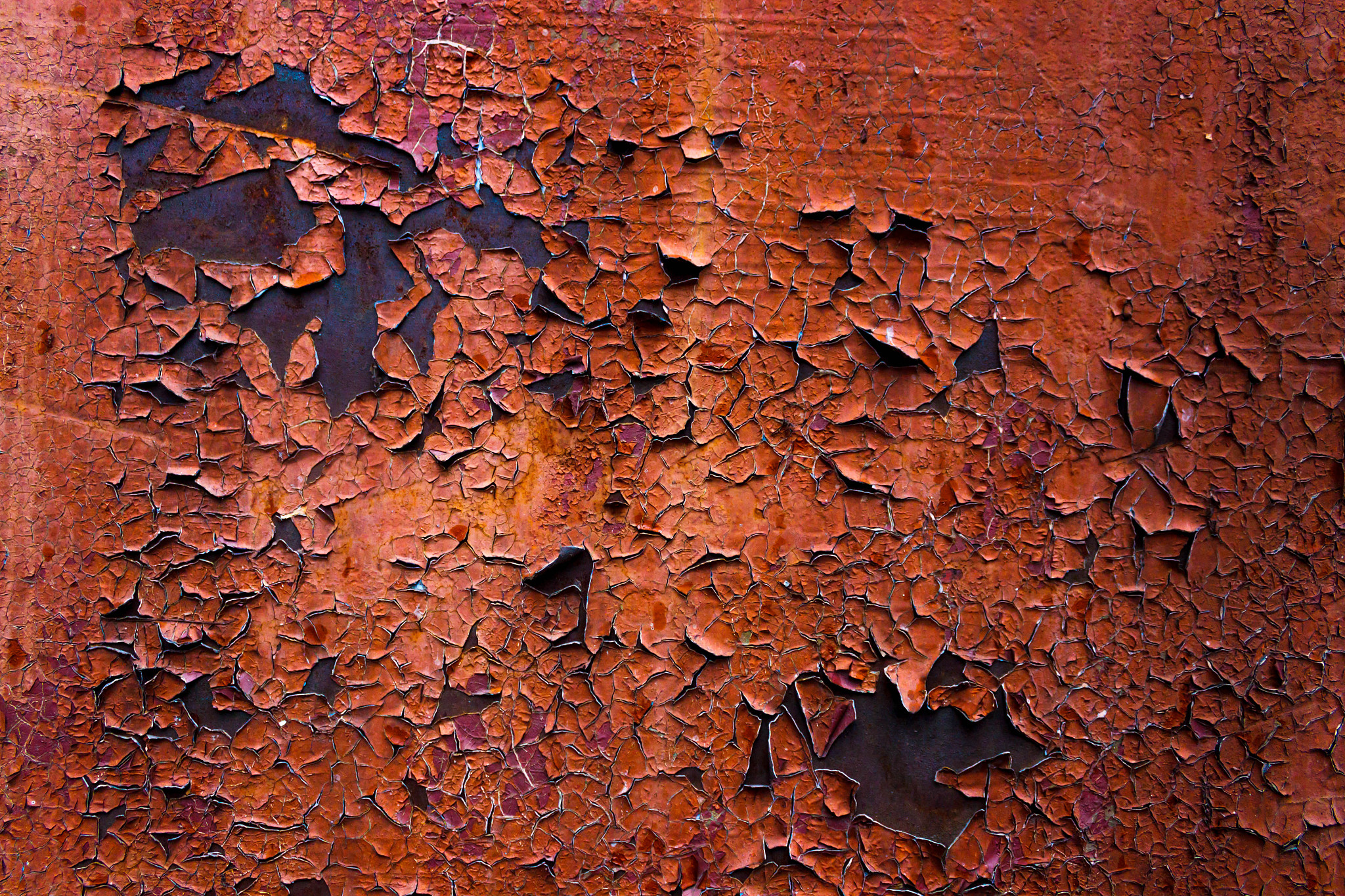 铁块在水中浸泡多久会生锈？8个月 VS 4个月后取出