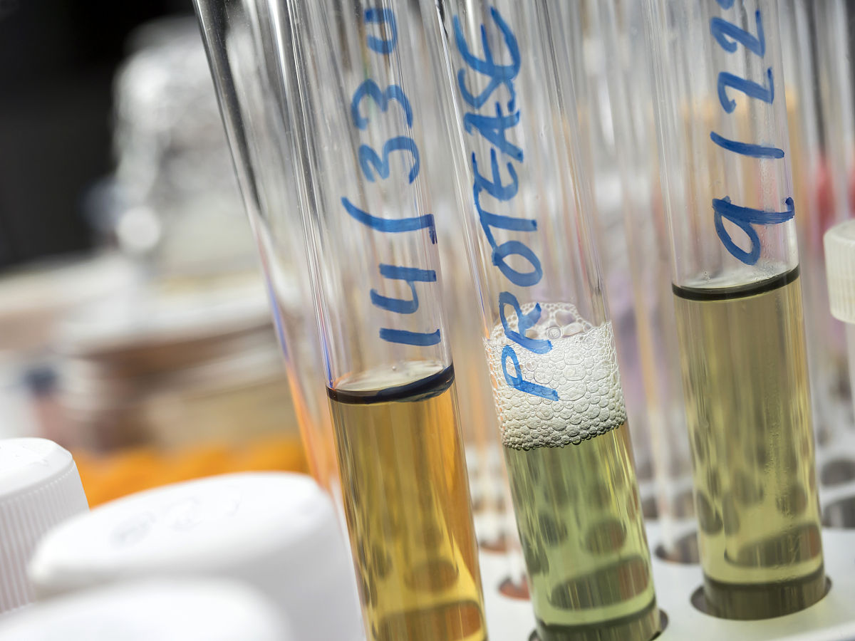 改写：中国科学家率先对 SAＲS－CoV－2 进行分离和测序并在第一时间向世界公布了其全基因组序列。根据血清学与基因组特点冠状病毒分为 α、β、γ 和 δ 四个属。已发现的七种感染人类的冠状病毒分别为 α 属的 HCoV－229E和HCoV－NL63β属的HCoV －OC43、CoV －HKU1、SAＲS－CoV、MEＲS－CoV 与 SAＲS－CoV－2。其中SAＲS－CoV、MEＲS－CoV与