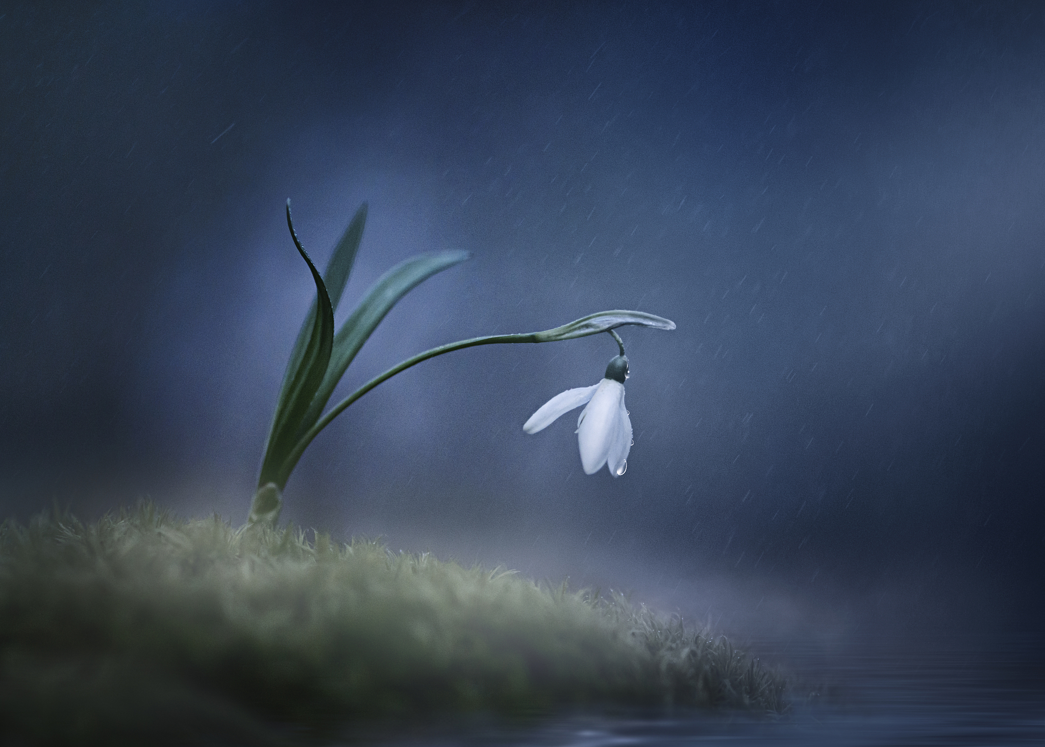 如烟往事俱忘却心底无私天地宽：放下过去，拥抱未来