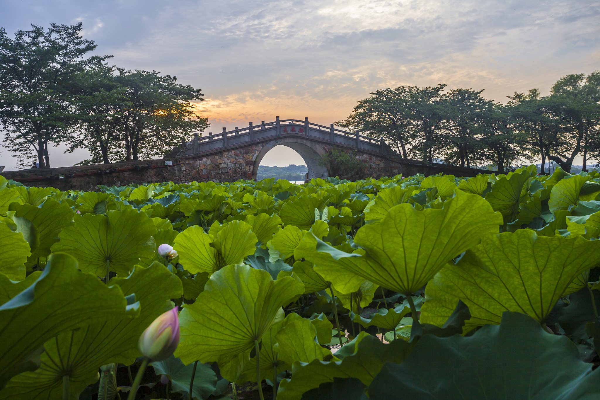 苏州两日旅游攻略门票价格以及乘车方式美食饭店的名称以及住宿的宾馆要求物美价廉