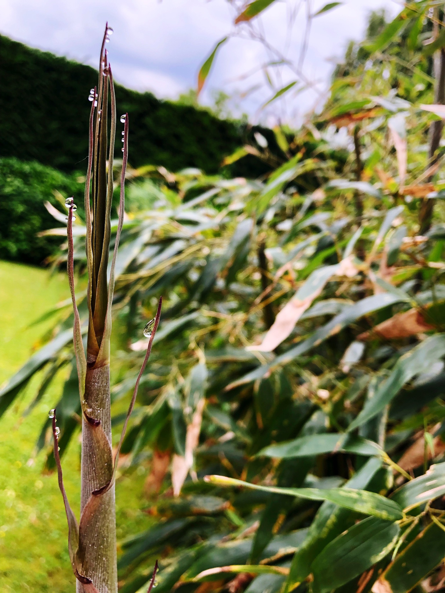 凉山州农业学校热门专业有哪些