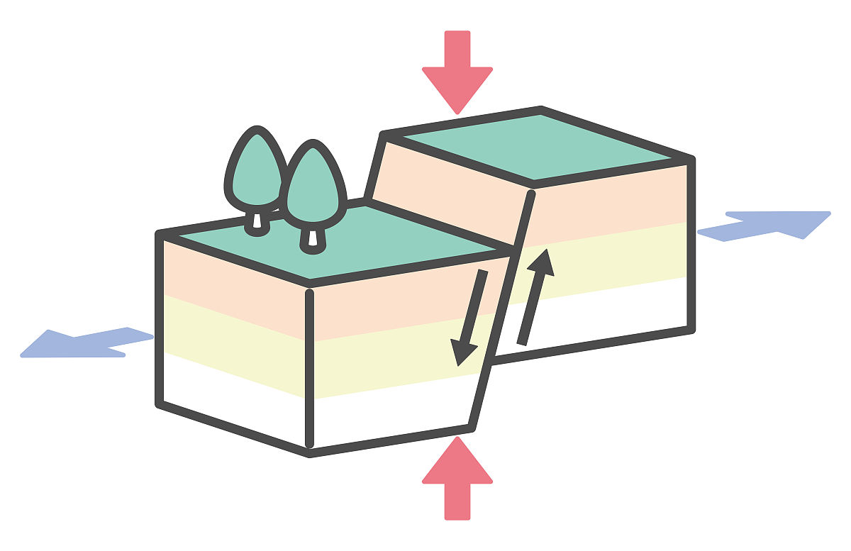 小熊养生壶为什么不工作了，