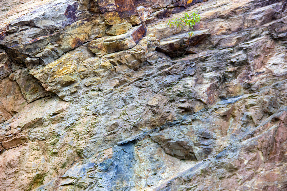 页岩结构：薄板状、鱼鳞状、斑点状和裂隙