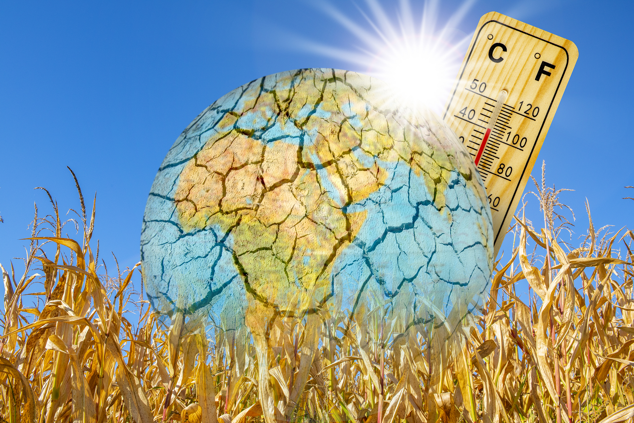 我国玉米产区未来温度会上升吗列出参考文献