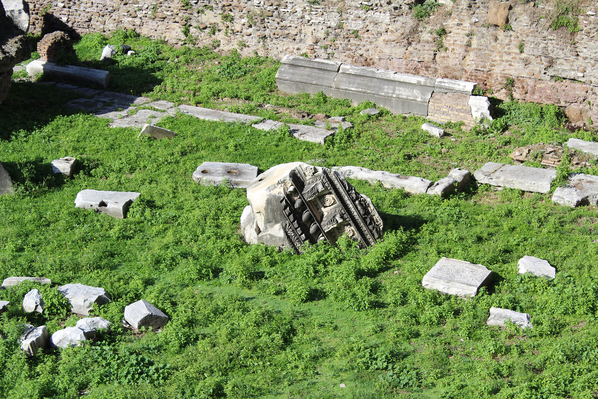 详细的介绍以下罗马帝国的历史