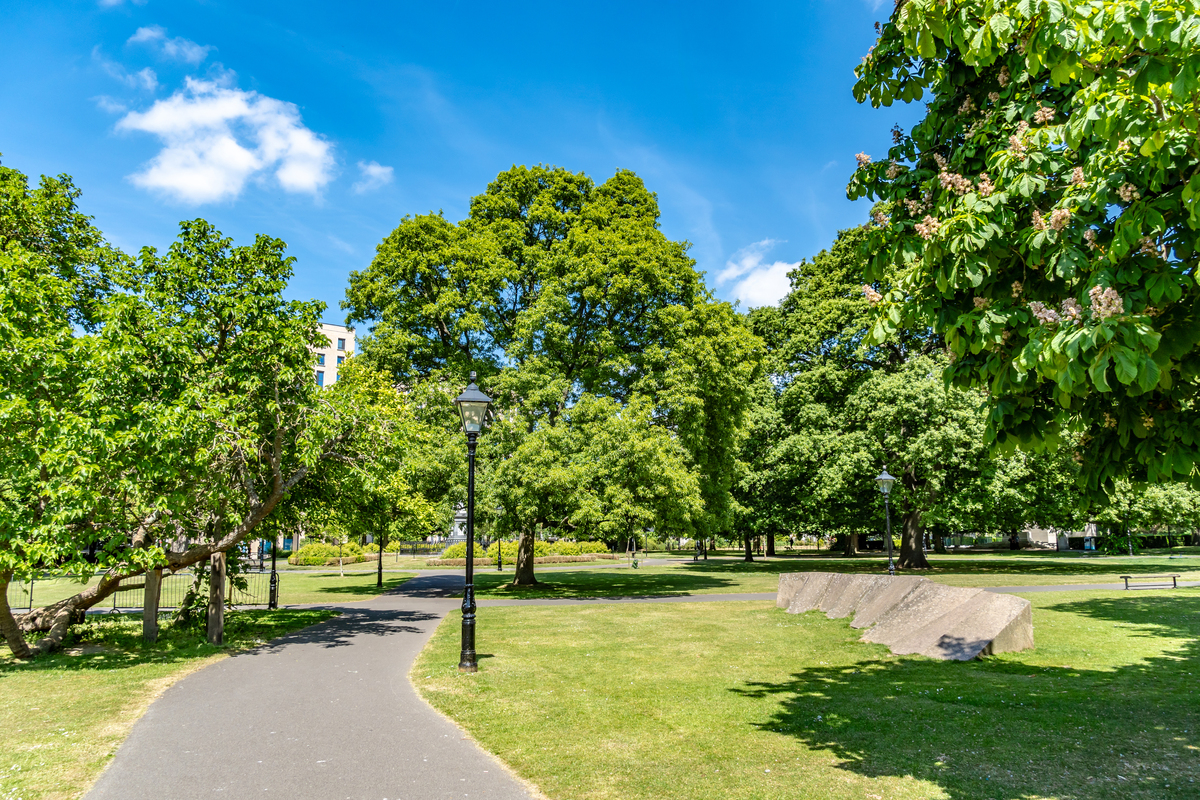校园里，那绿树成荫的风景