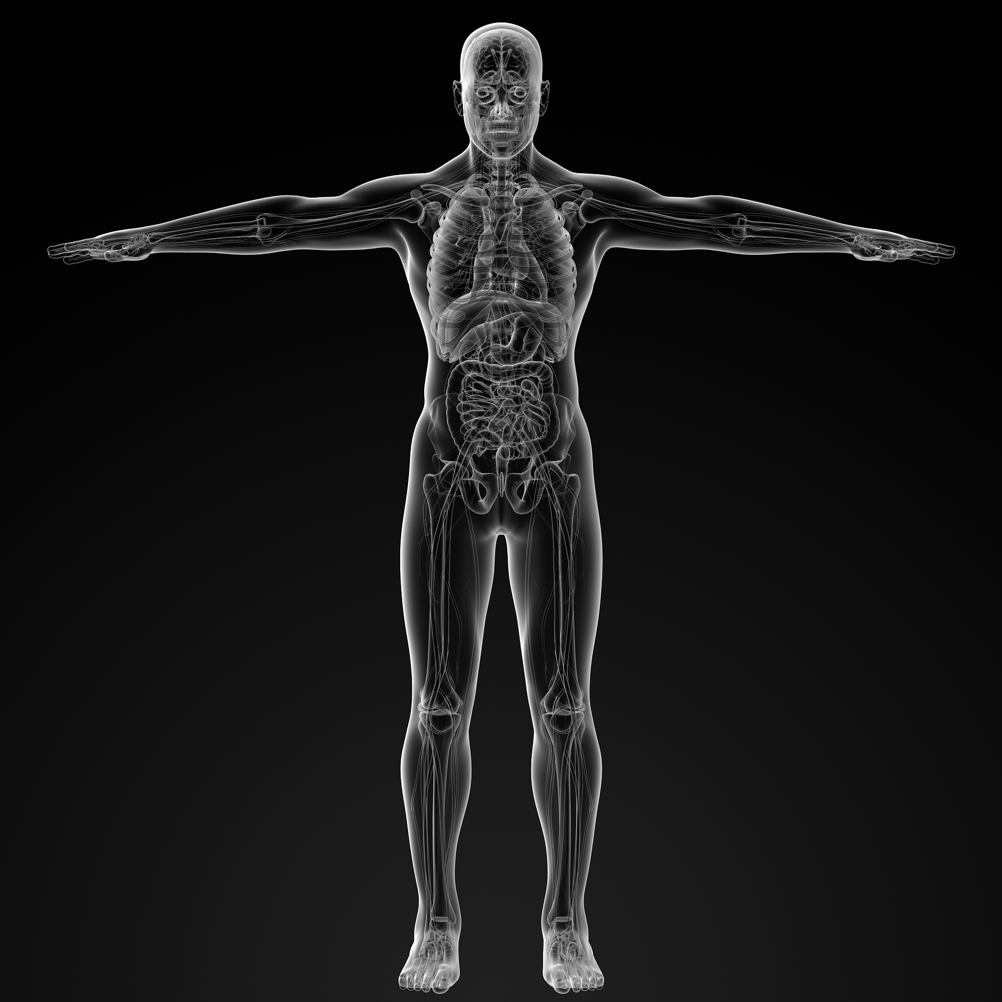 成都五月花学校护理专业要学哪些东西？