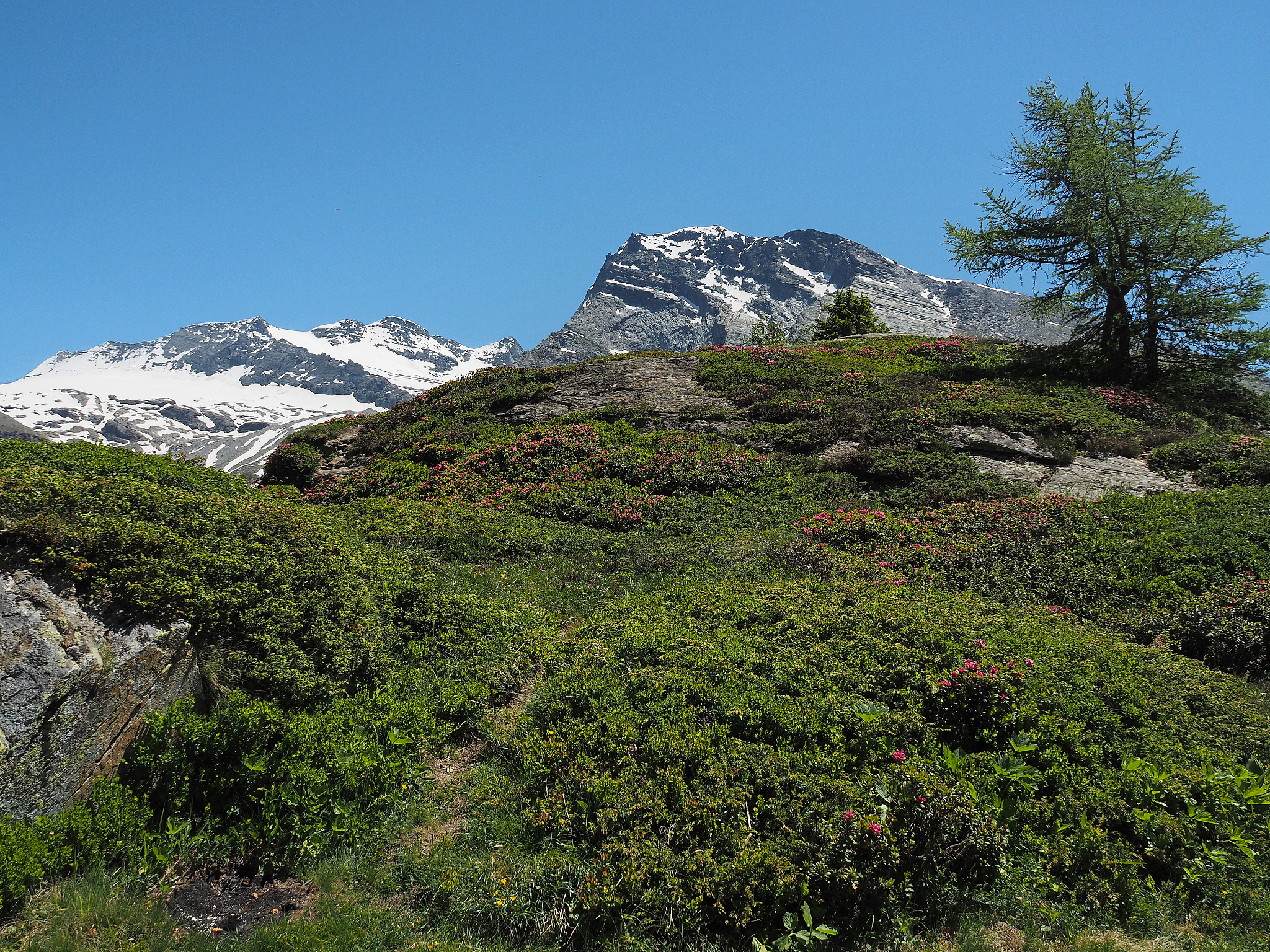 view of monte leone, breithorn and hübschhorn from simplon pass