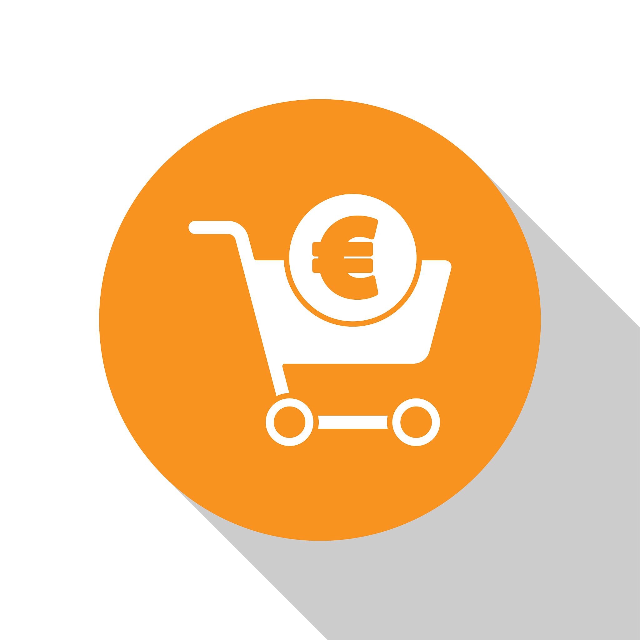 white shopping cart and euro symbol icon isolated