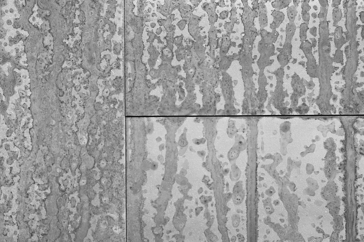 油气集输输油管线腐蚀因素分析1000字