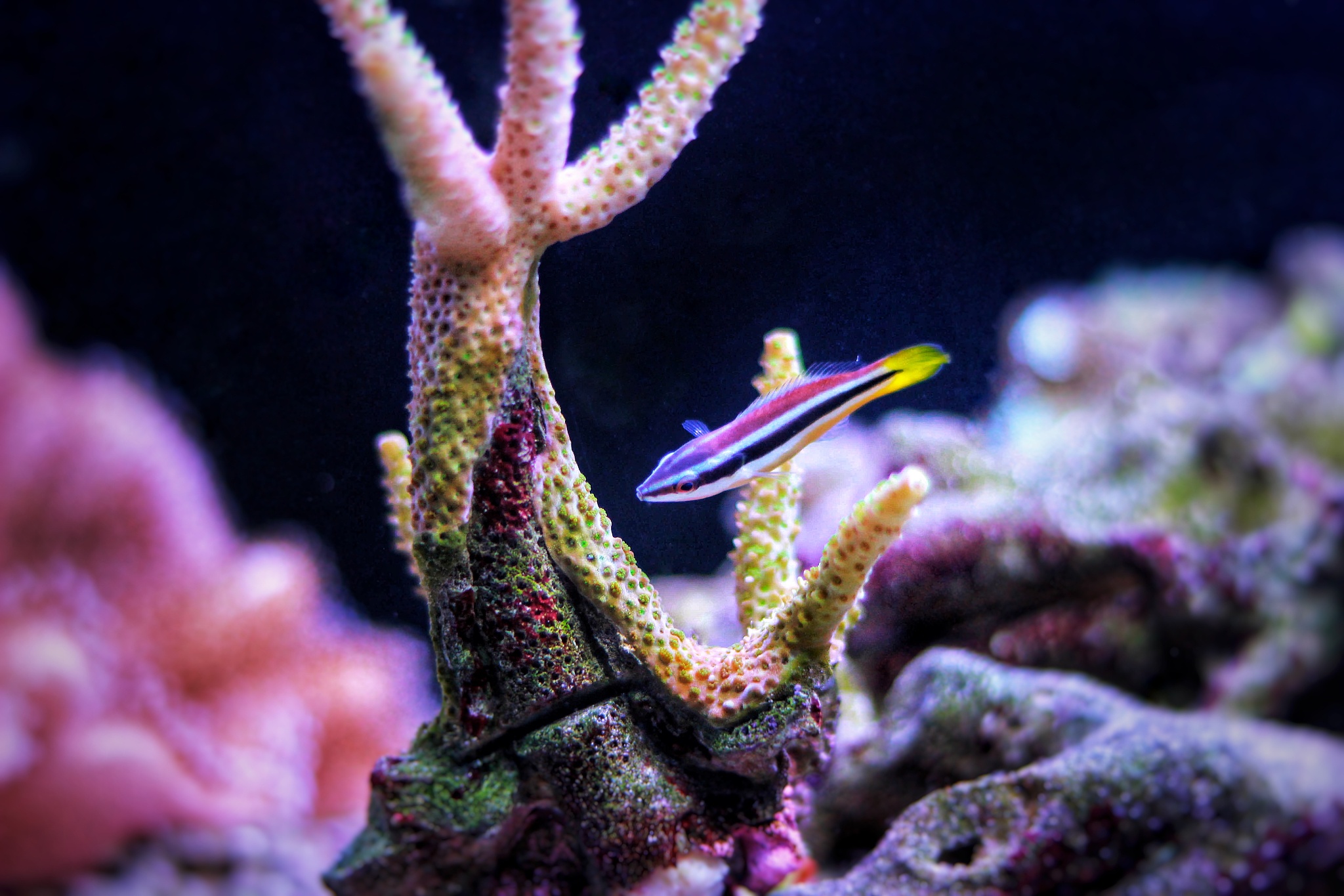 企业清洁工实践日志：15天工作记录与感悟