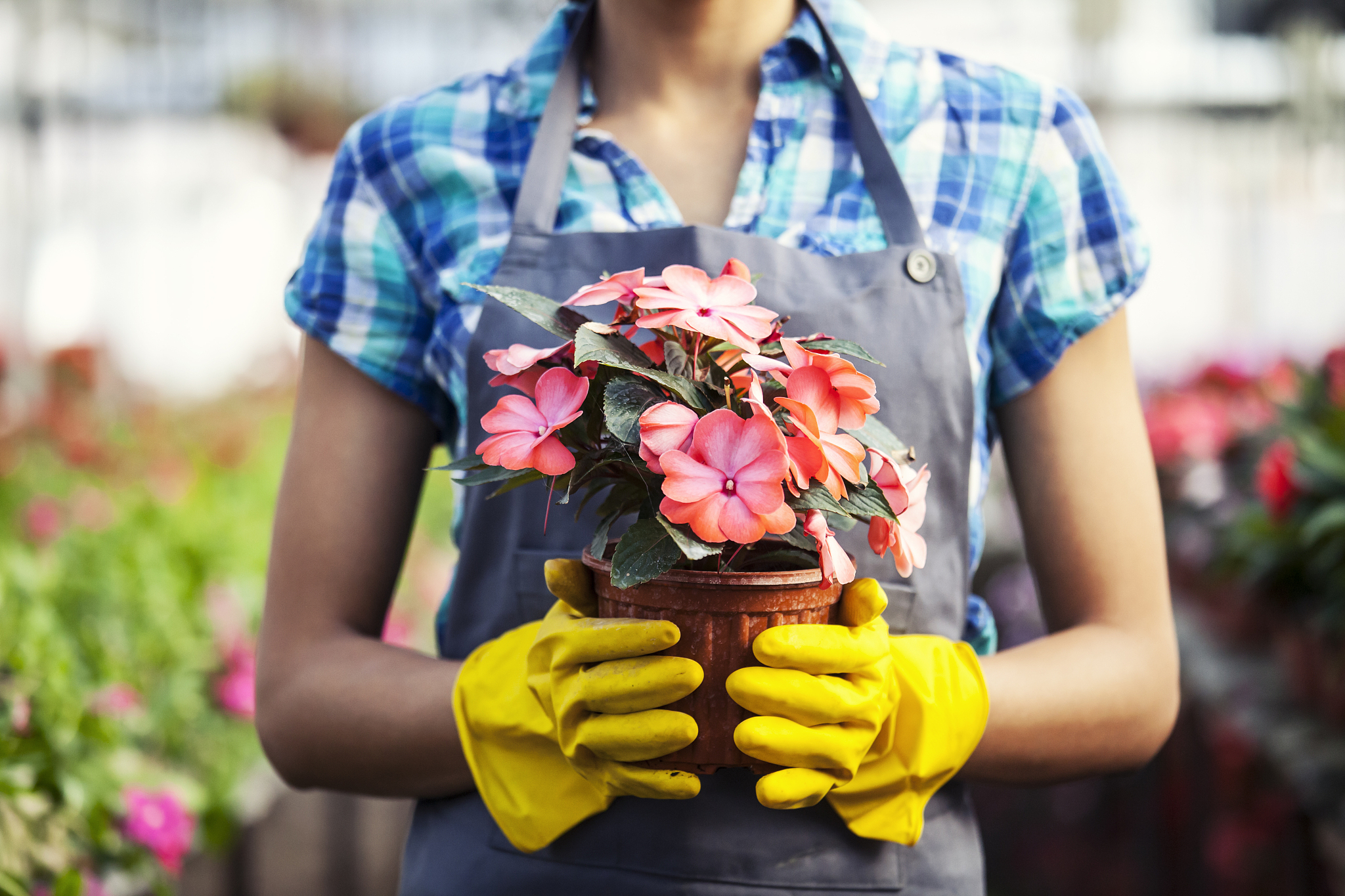 woman in greenhouse