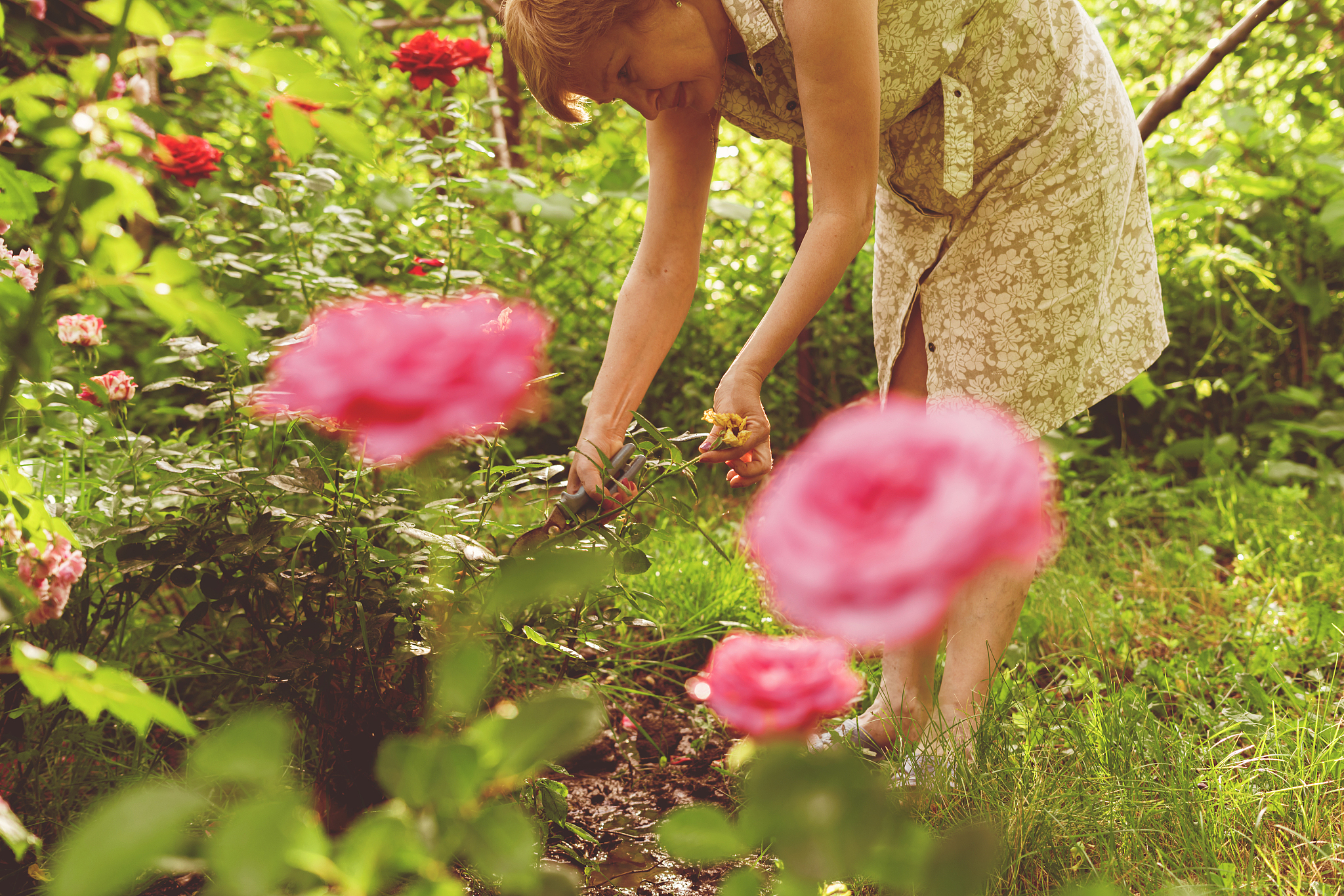 辽宁农业职业技术学院动物医学专业好就业吗