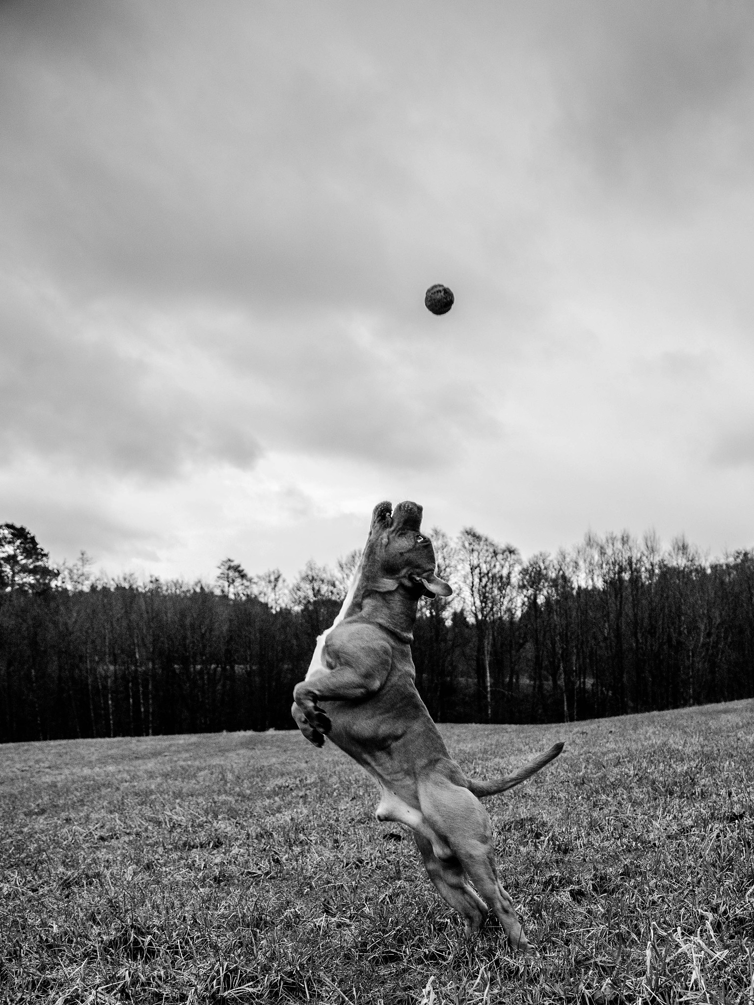 Antonio J Manzanedo和Lee Jeffries各自有何特点还有哪些著名的摄影师及风格介绍